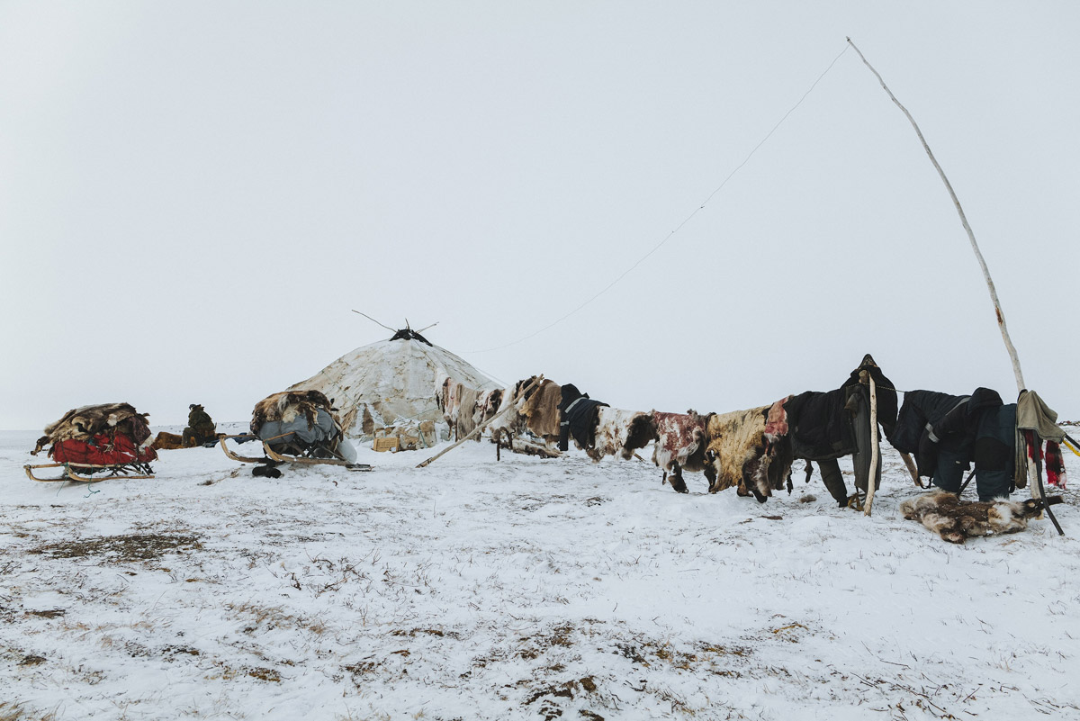 Андрей Белавин уже два года живет во Владимирской области. В январе стало известно, что одна из его работ стала лучшей на конкурсе «Самобытная Россия». Фотограф дал эксклюзивное интервью «Ключ-Медиа» и рассказал о своем путешествии на Чукотку, сотрудничестве с National Geographic, ТАСС, «Моя планета» и, конечно, о любви к Суздалю. Готовы увидеть невыносимо красивые фотографии? Смотрите и читайте!