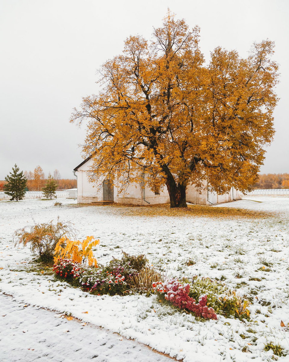 Андрей Белавин уже два года живет во Владимирской области. В январе стало известно, что одна из его работ стала лучшей на конкурсе «Самобытная Россия». Фотограф дал эксклюзивное интервью «Ключ-Медиа» и рассказал о своем путешествии на Чукотку, сотрудничестве с National Geographic, ТАСС, «Моя планета» и, конечно, о любви к Суздалю. Готовы увидеть невыносимо красивые фотографии? Смотрите и читайте!