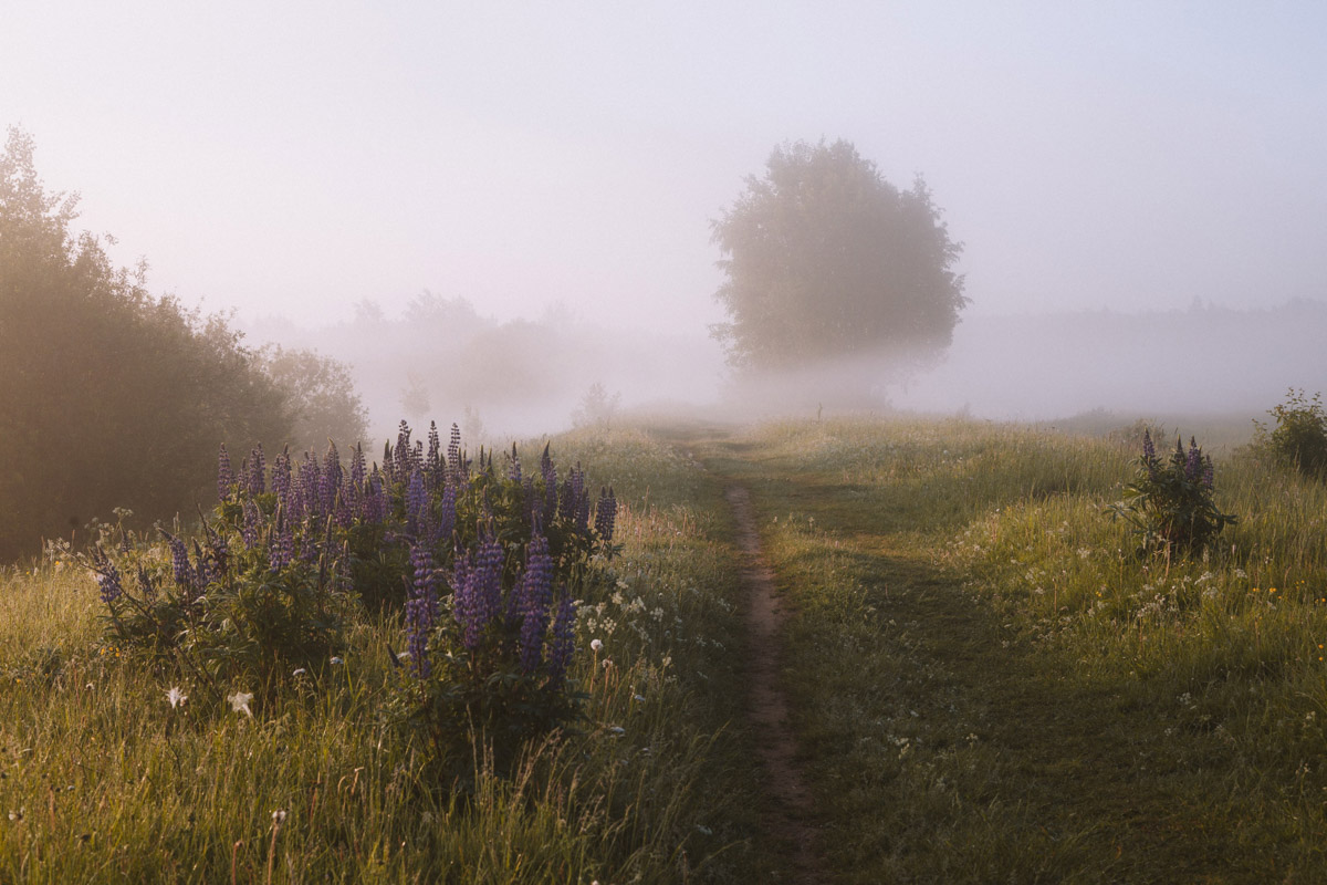 Андрей Белавин уже два года живет во Владимирской области. В январе стало известно, что одна из его работ стала лучшей на конкурсе «Самобытная Россия». Фотограф дал эксклюзивное интервью «Ключ-Медиа» и рассказал о своем путешествии на Чукотку, сотрудничестве с National Geographic, ТАСС, «Моя планета» и, конечно, о любви к Суздалю. Готовы увидеть невыносимо красивые фотографии? Смотрите и читайте!