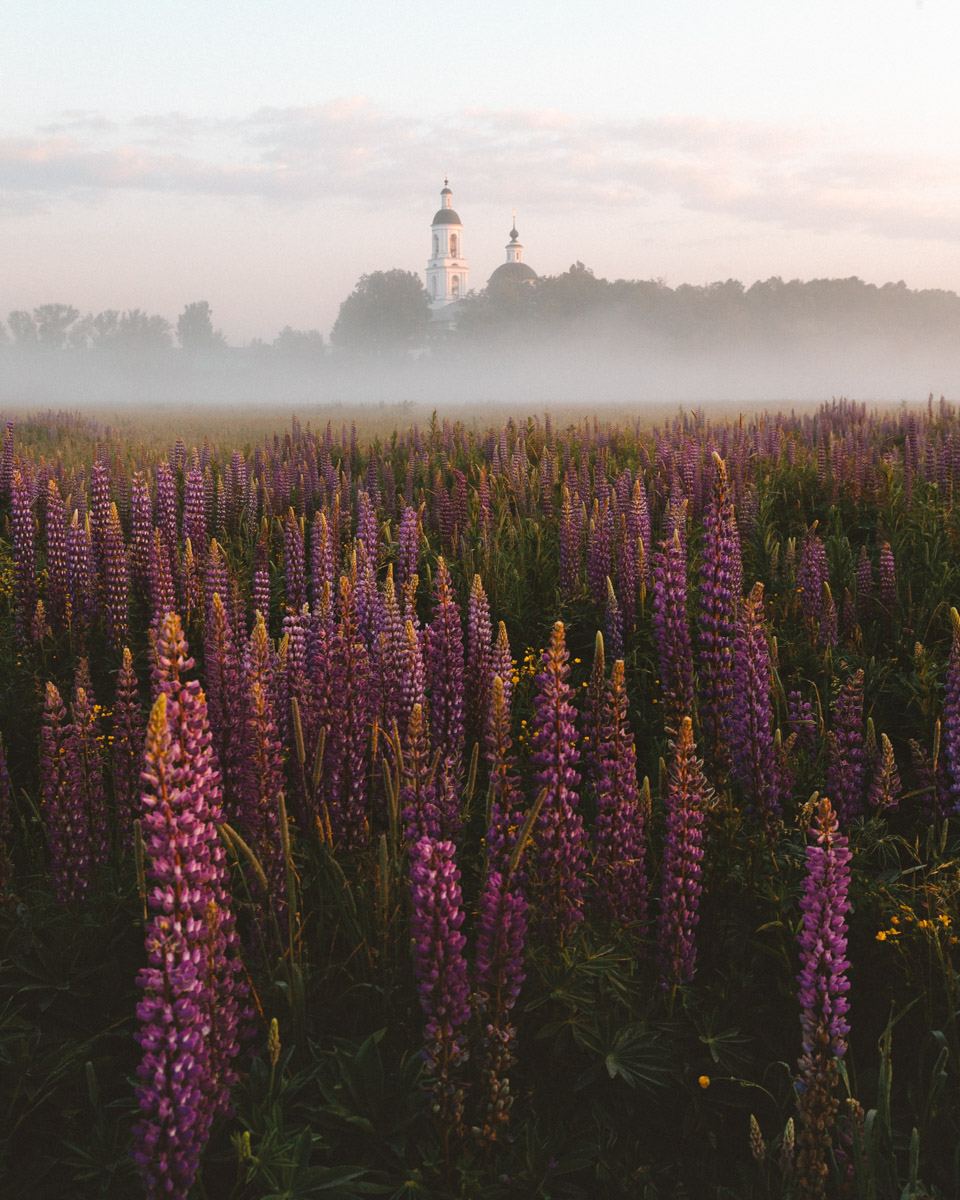 Андрей Белавин уже два года живет во Владимирской области. В январе стало известно, что одна из его работ стала лучшей на конкурсе «Самобытная Россия». Фотограф дал эксклюзивное интервью «Ключ-Медиа» и рассказал о своем путешествии на Чукотку, сотрудничестве с National Geographic, ТАСС, «Моя планета» и, конечно, о любви к Суздалю. Готовы увидеть невыносимо красивые фотографии? Смотрите и читайте!