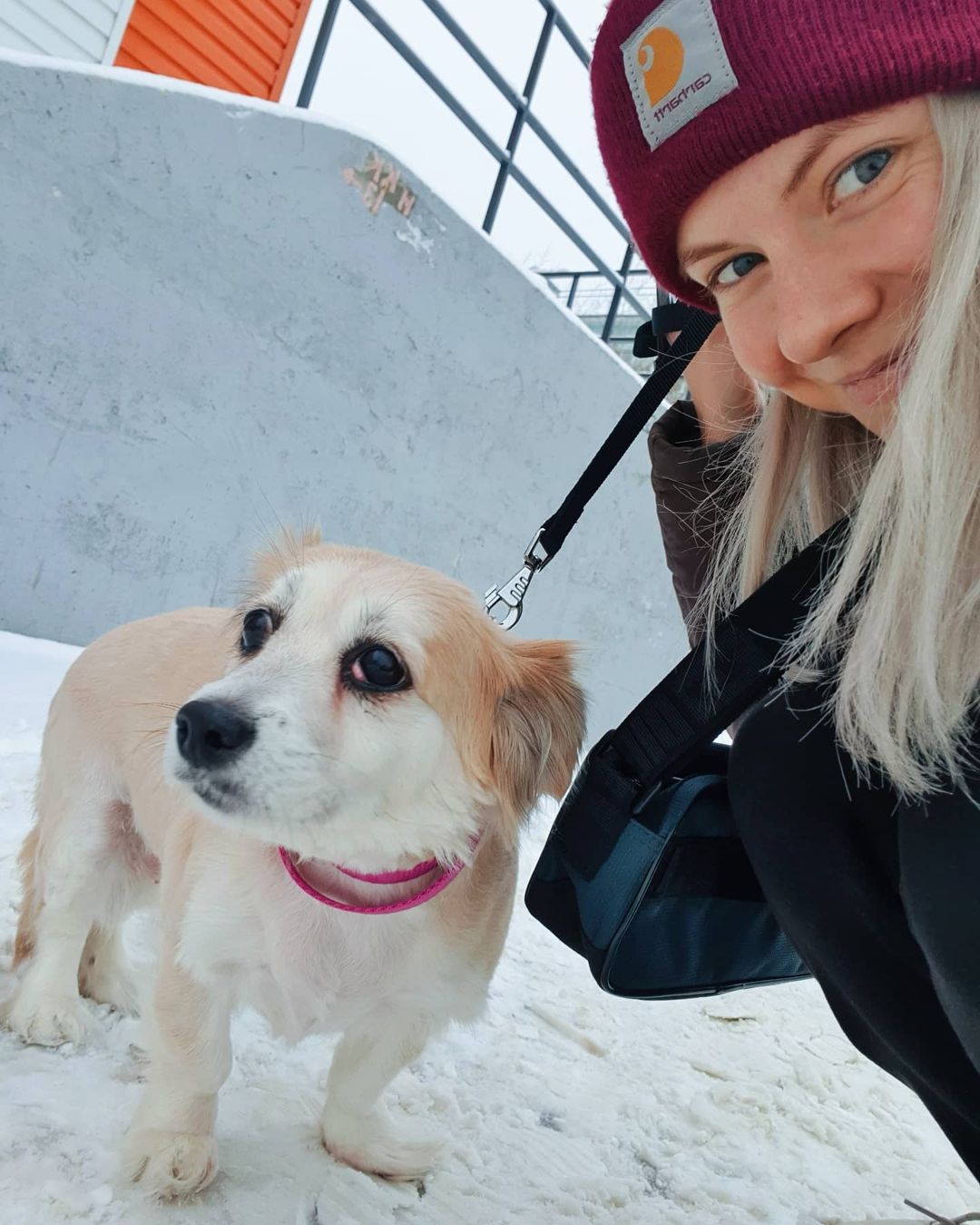 Чтобы поднять себе настроение, зачастую хватает лишь одной обнимашки с любимым собакеном. Если его нет у вас, умиляйтесь чужими. Благо, горожане щедро делятся кадрами своих мохнатых домочадцев в соцсетях.