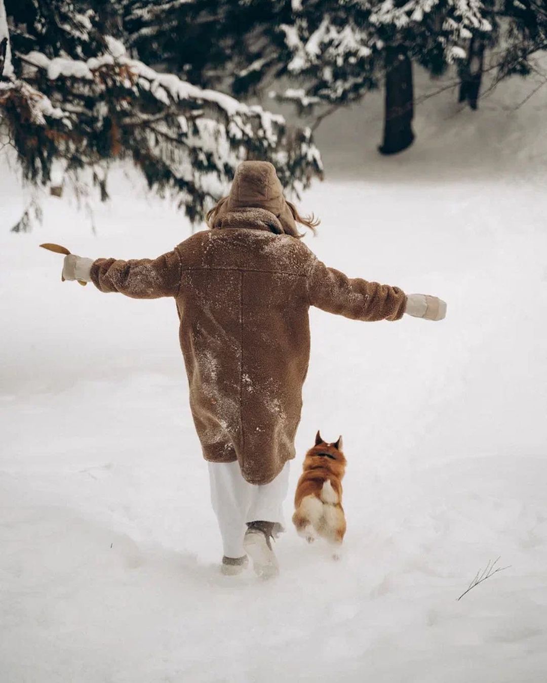 Чтобы поднять себе настроение, зачастую хватает лишь одной обнимашки с любимым собакеном. Если его нет у вас, умиляйтесь чужими. Благо, горожане щедро делятся кадрами своих мохнатых домочадцев в соцсетях.
