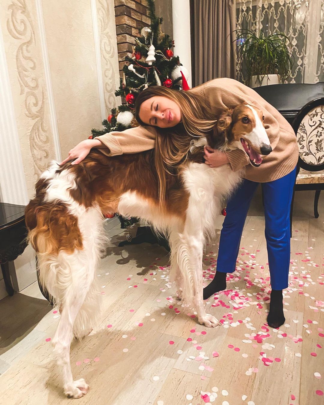 Чтобы поднять себе настроение, зачастую хватает лишь одной обнимашки с любимым собакеном. Если его нет у вас, умиляйтесь чужими. Благо, горожане щедро делятся кадрами своих мохнатых домочадцев в соцсетях.