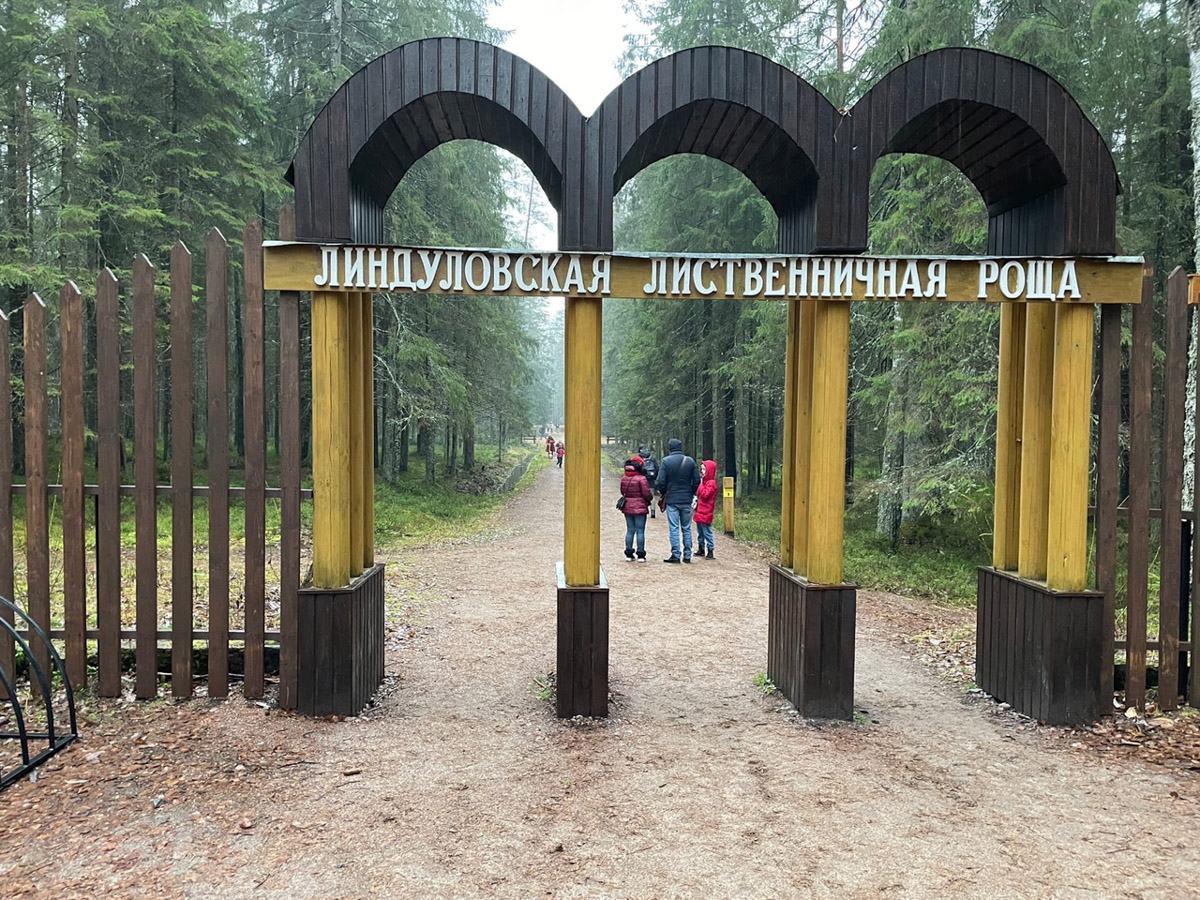 Наш коллега Александр Кюннап год назад переехал в Питер и теперь может сравнивать его с жизнью во Владимире.