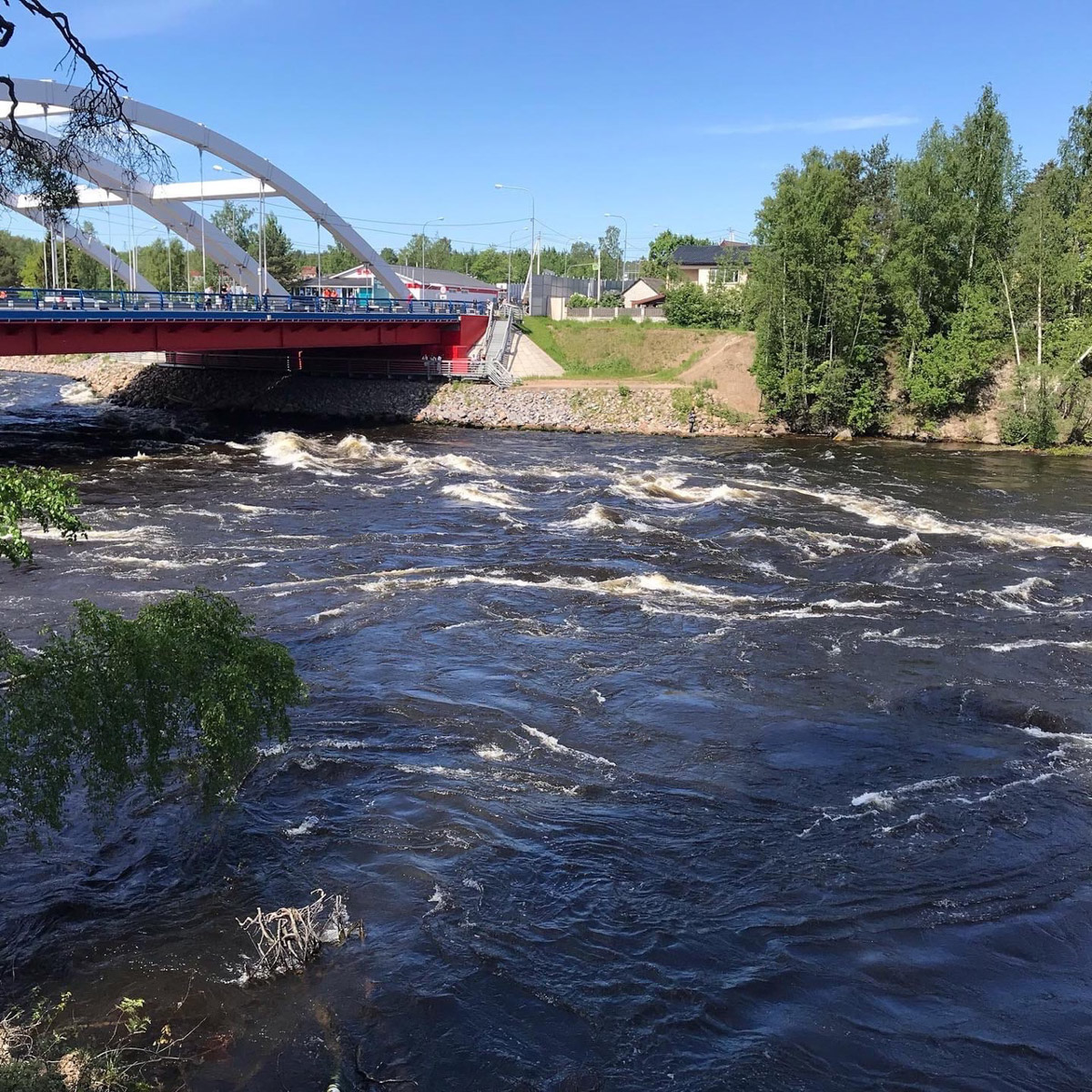 Наш коллега Александр Кюннап год назад переехал в Питер и теперь может сравнивать его с жизнью во Владимире.