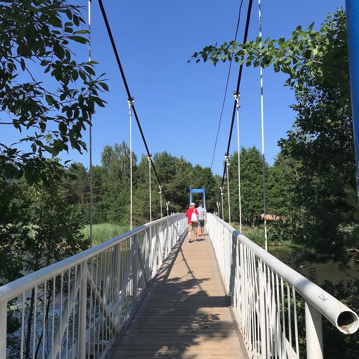 Наш коллега Александр Кюннап год назад переехал в Питер и теперь может сравнивать его с жизнью во Владимире.