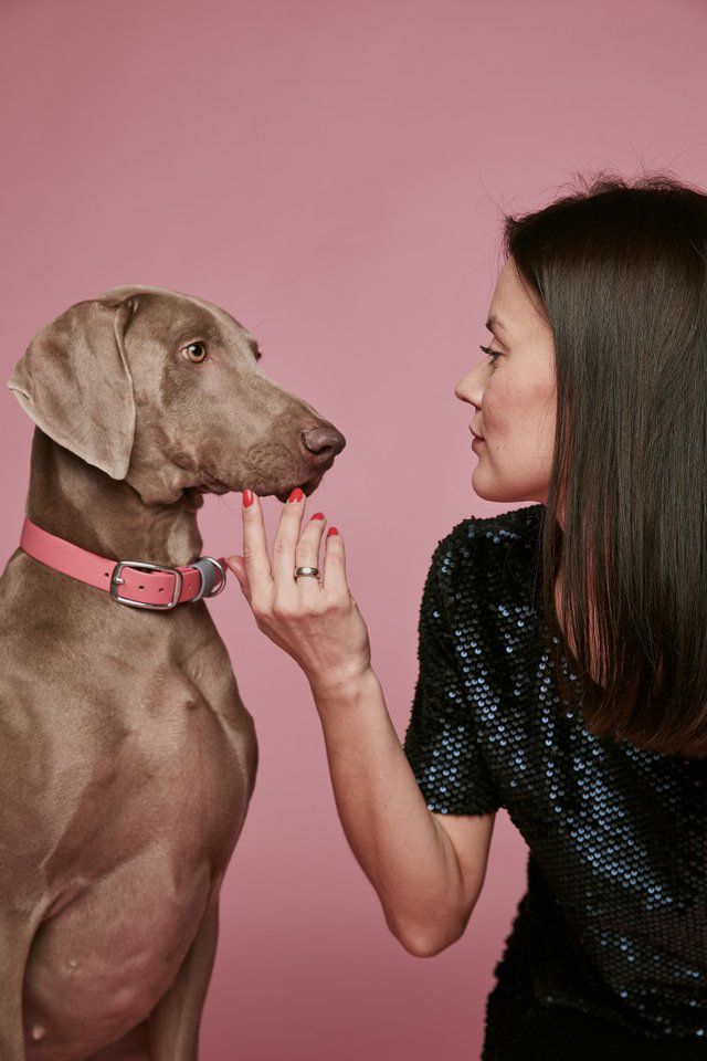 Хозяевам тявкающих блогеров ради сокровенных секунд успешного Reels иногда приходится потрудиться – об этом рассказывают жительницы Владимира, питомцы которых покоряют Instagram и даже становятся амбассадорами пет-брендов.