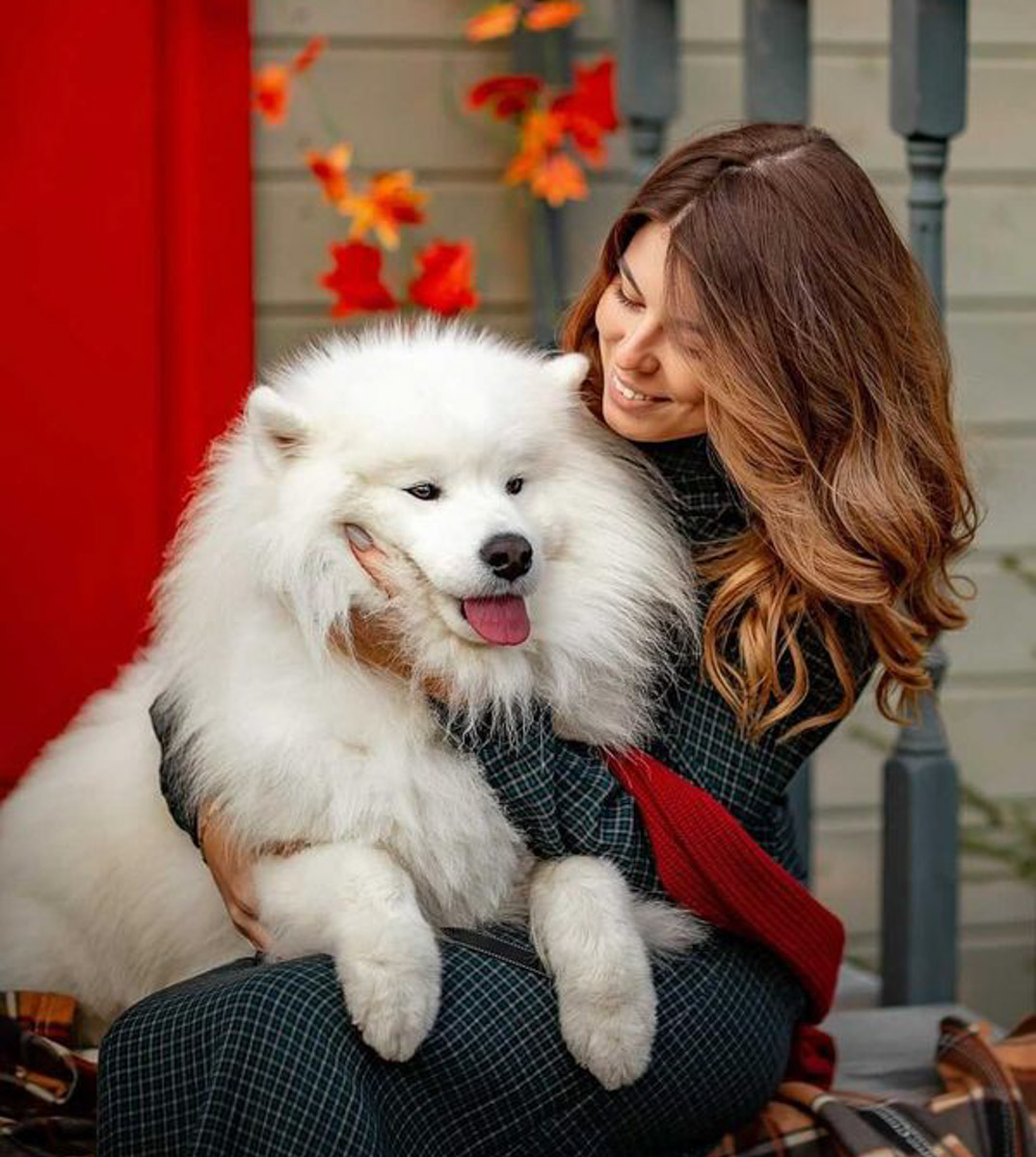 Хозяевам тявкающих блогеров ради сокровенных секунд успешного Reels иногда приходится потрудиться – об этом рассказывают жительницы Владимира, питомцы которых покоряют Instagram и даже становятся амбассадорами пет-брендов.