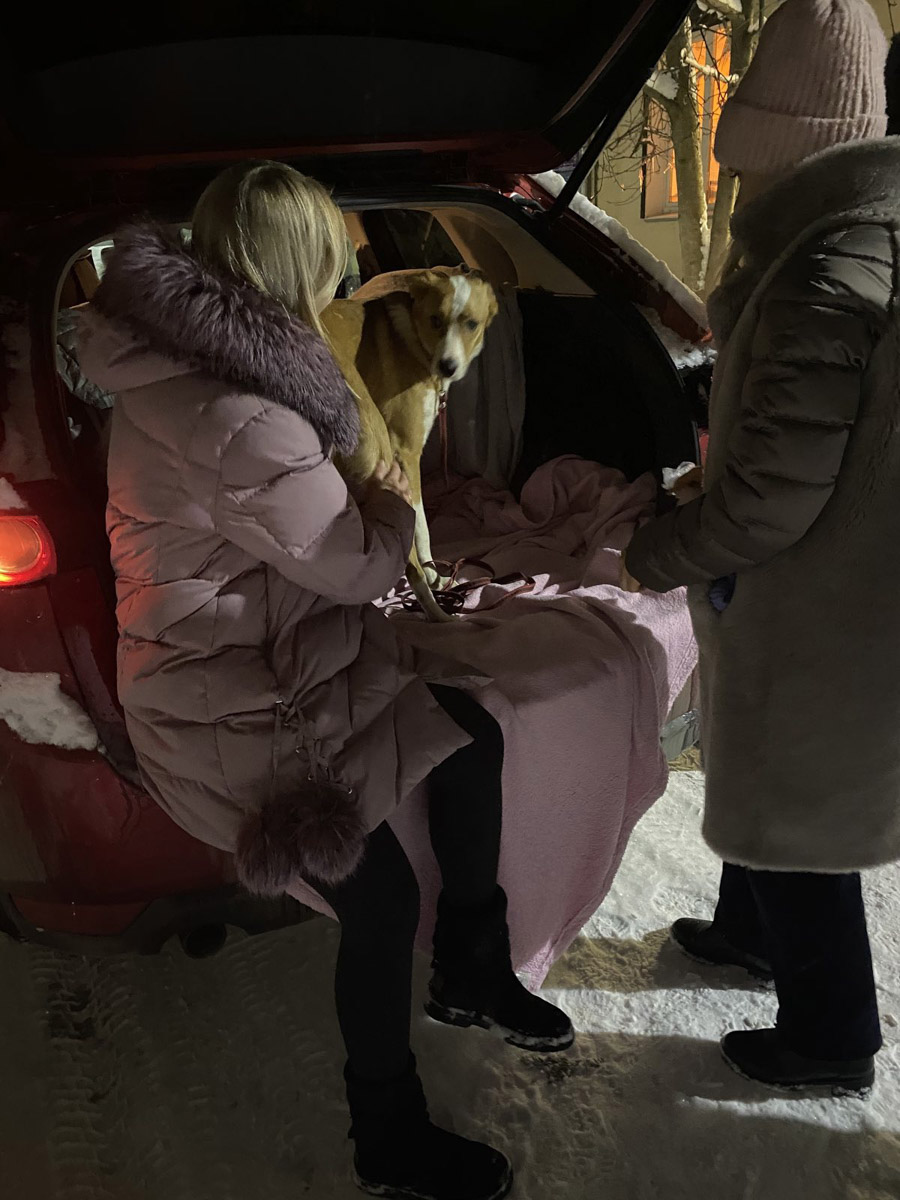 Вы нашли на улице маленького котенка, но не имеете возможность пригреть пушистого в своей квартире - как поступить, куда обратиться? Или, наоборот, готовы помочь зверушкам любой масти, но по вопросам благотворительности совсем новичок - с кем связаться, чтобы предложить свою кандидатуру?