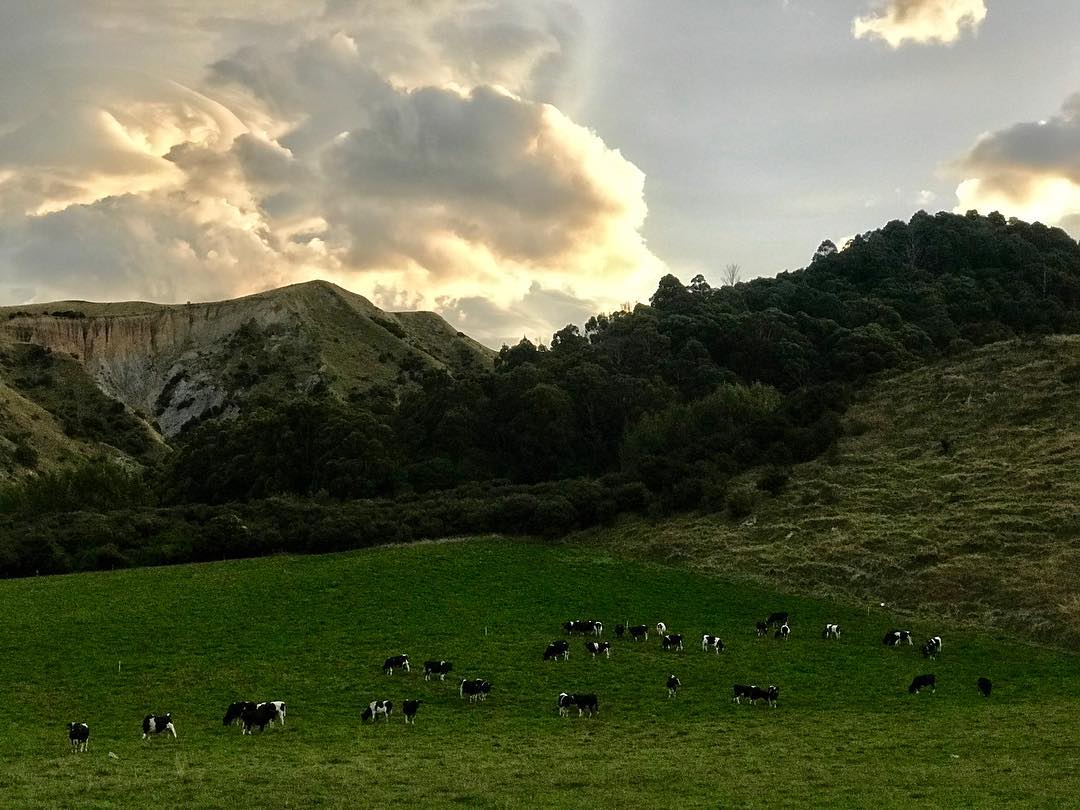 Три года, Карл! Три года этот человек пробегает по 50 километров в день в любую погоду, чтобы осуществить свою мечту — пробежать кругосветку и поставить мировой рекорд. С собой у Руслана Шакина только спортивная коляска с самыми нужными вещами: запасными кроссовками, зарядниками, палаткой и спальным мешком. Последний во Владимире марафонцу-экстремалу не понадобился. У нас его встретили единомышленники.