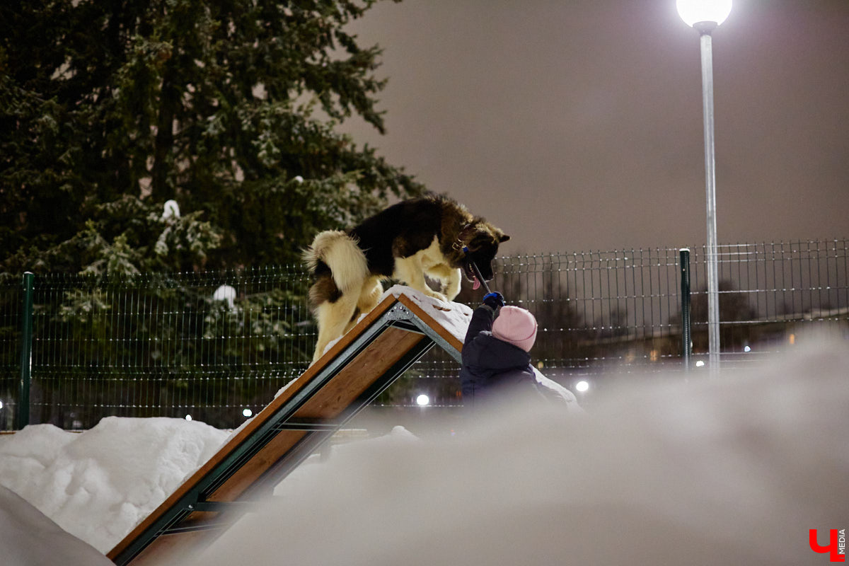 По вечерам на территории дог-парка «Добросельского» встречаются более 10 ушастых-хвостатых и на протяжении нескольких часов под руководством опытных кинологов выполняют упражнения. Как и когда попасть на занятия? Зачем нужна собачья школа? Обо всем в материале!