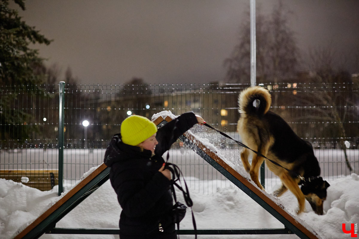 По вечерам на территории дог-парка «Добросельского» встречаются более 10 ушастых-хвостатых и на протяжении нескольких часов под руководством опытных кинологов выполняют упражнения. Как и когда попасть на занятия? Зачем нужна собачья школа? Обо всем в материале!