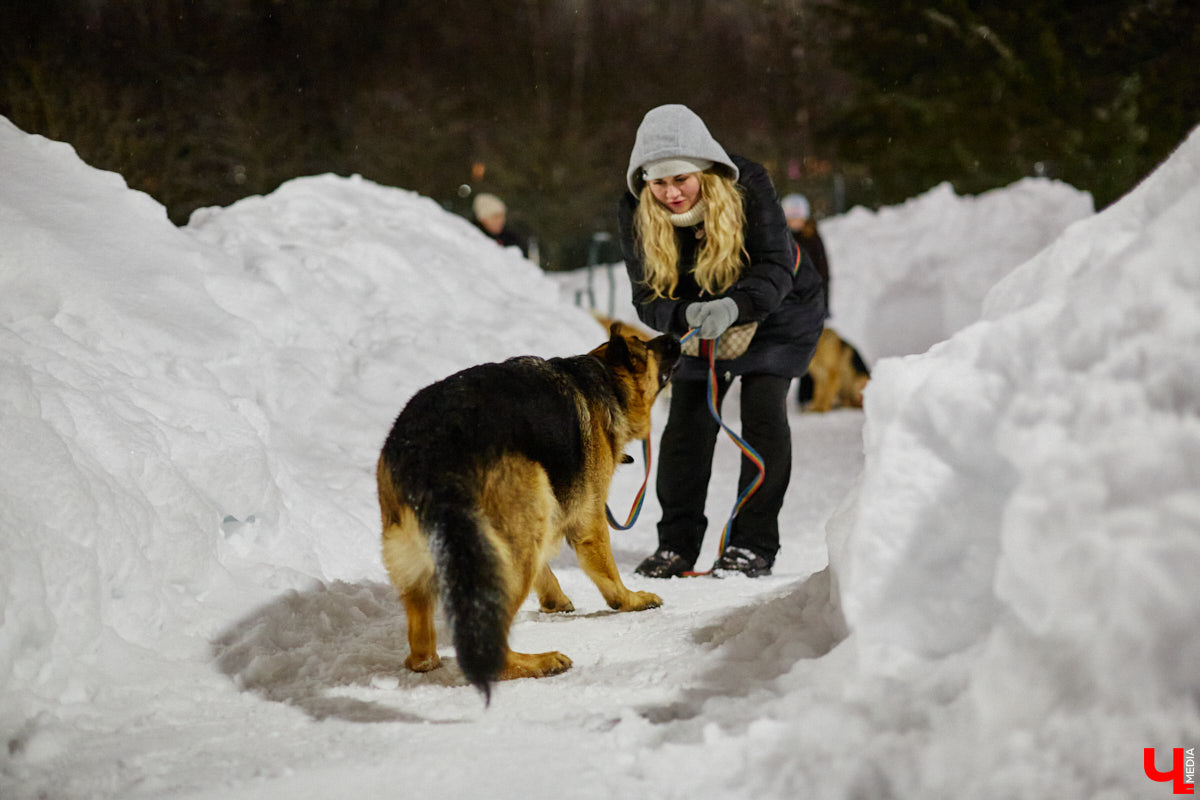 По вечерам на территории дог-парка «Добросельского» встречаются более 10 ушастых-хвостатых и на протяжении нескольких часов под руководством опытных кинологов выполняют упражнения. Как и когда попасть на занятия? Зачем нужна собачья школа? Обо всем в материале!