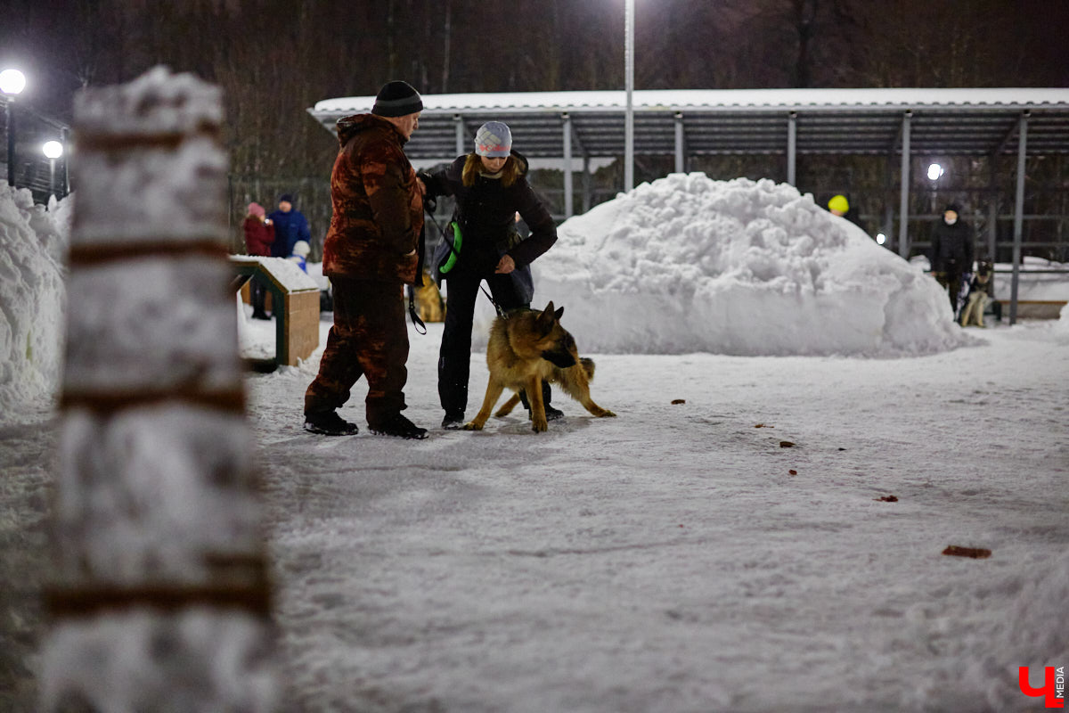 По вечерам на территории дог-парка «Добросельского» встречаются более 10 ушастых-хвостатых и на протяжении нескольких часов под руководством опытных кинологов выполняют упражнения. Как и когда попасть на занятия? Зачем нужна собачья школа? Обо всем в материале!