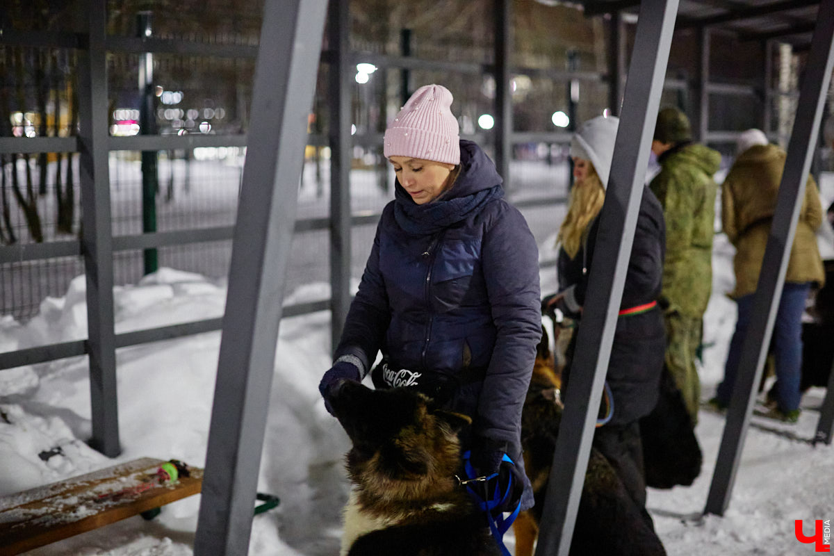По вечерам на территории дог-парка «Добросельского» встречаются более 10 ушастых-хвостатых и на протяжении нескольких часов под руководством опытных кинологов выполняют упражнения. Как и когда попасть на занятия? Зачем нужна собачья школа? Обо всем в материале!