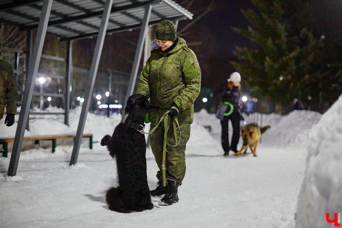 По вечерам на территории дог-парка «Добросельского» встречаются более 10 ушастых-хвостатых и на протяжении нескольких часов под руководством опытных кинологов выполняют упражнения. Как и когда попасть на занятия? Зачем нужна собачья школа? Обо всем в материале!