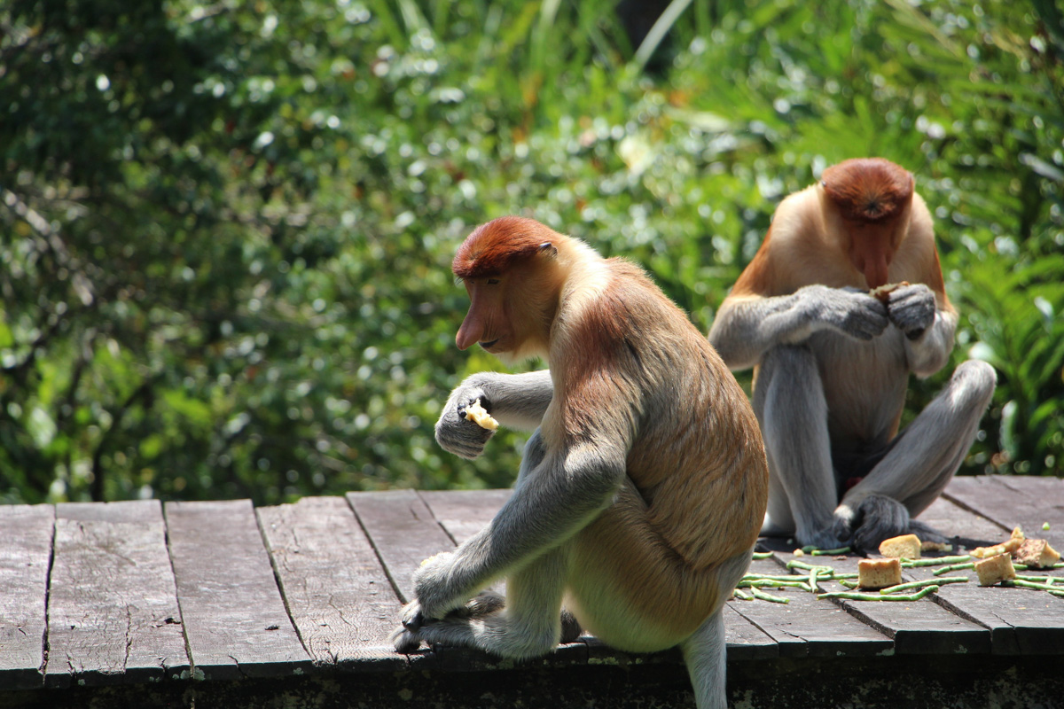 Татьяна Гордеева - журналист из Владимира. Вместе со своим мужем и сыном она путешествует по всему миру. Причем организованный тур семья не покупает. Маршрут и билеты выбирают самостоятельно. И делятся своим опытом на youtube-канале.