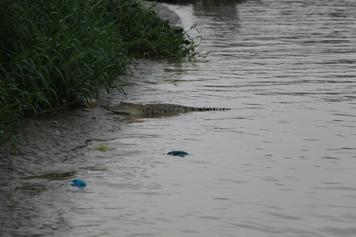 Татьяна Гордеева - журналист из Владимира. Вместе со своим мужем и сыном она путешествует по всему миру. Причем организованный тур семья не покупает. Маршрут и билеты выбирают самостоятельно. И делятся своим опытом на youtube-канале.