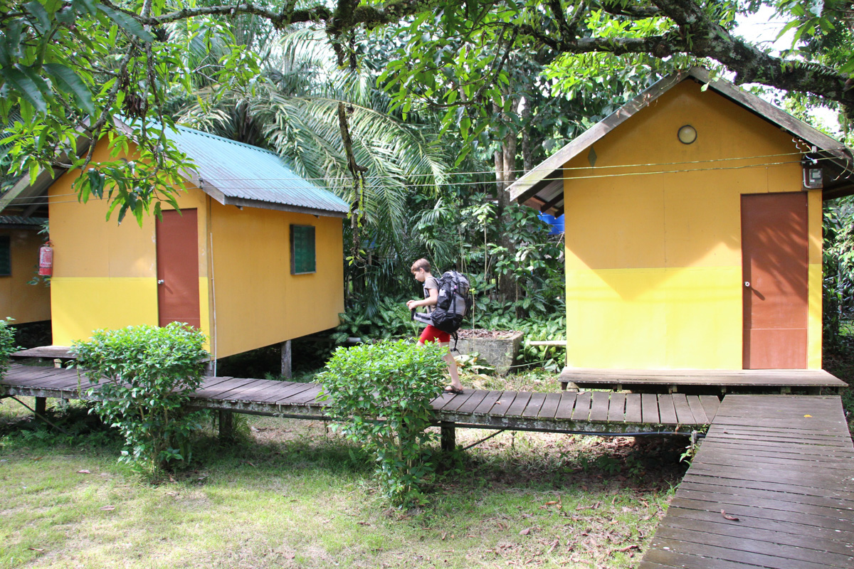 Татьяна Гордеева - журналист из Владимира. Вместе со своим мужем и сыном она путешествует по всему миру. Причем организованный тур семья не покупает. Маршрут и билеты выбирают самостоятельно. И делятся своим опытом на youtube-канале.