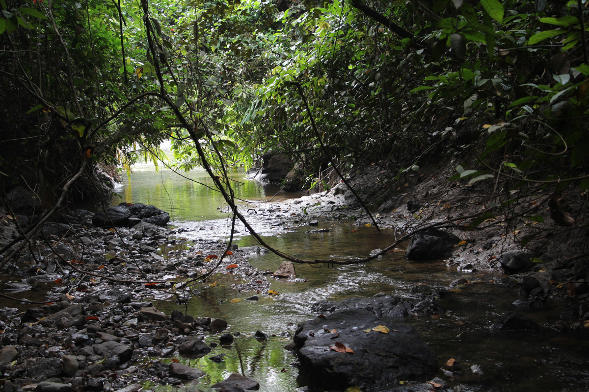 Татьяна Гордеева - журналист из Владимира. Вместе со своим мужем и сыном она путешествует по всему миру. Причем организованный тур семья не покупает. Маршрут и билеты выбирают самостоятельно. И делятся своим опытом на youtube-канале.