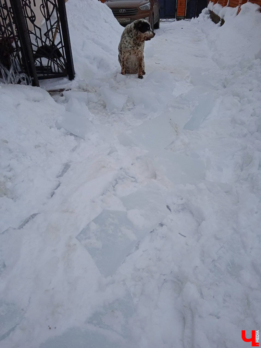 Февраль-2022 оказался одним из самых теплых за последние 140 лет. В результате снег начал таять еще зимой. На дорогах километровые лужи, а с крыш падают невероятных размеров глыбы льда. Подтверждаем сказанное фотоподборкой, а заодно предупреждаем: на этой неделе все продолжится.