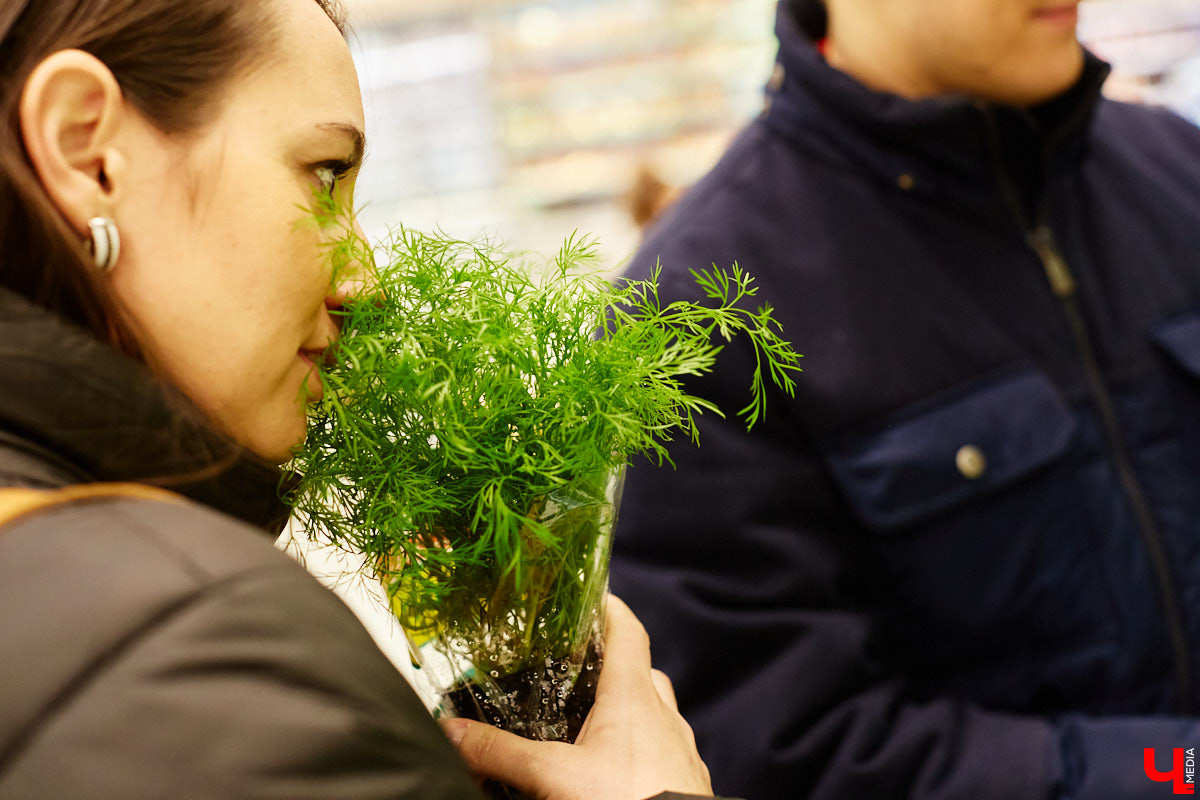 Ни одного, ни разу в жизни! Ольга Проноза – владимирский блогер, который входит в топ-10 самых популярных, в своем деле настоящий умелец, а вот кое в чем другом до недавних пор была чуточку профаном. Блины она в своей жизни ни разу не готовила, но наш кулинарный сенсей пришел ей на помощь. Вам, кстати, учения его тоже пригодятся, ведь рецепты мастера – нестандартные.