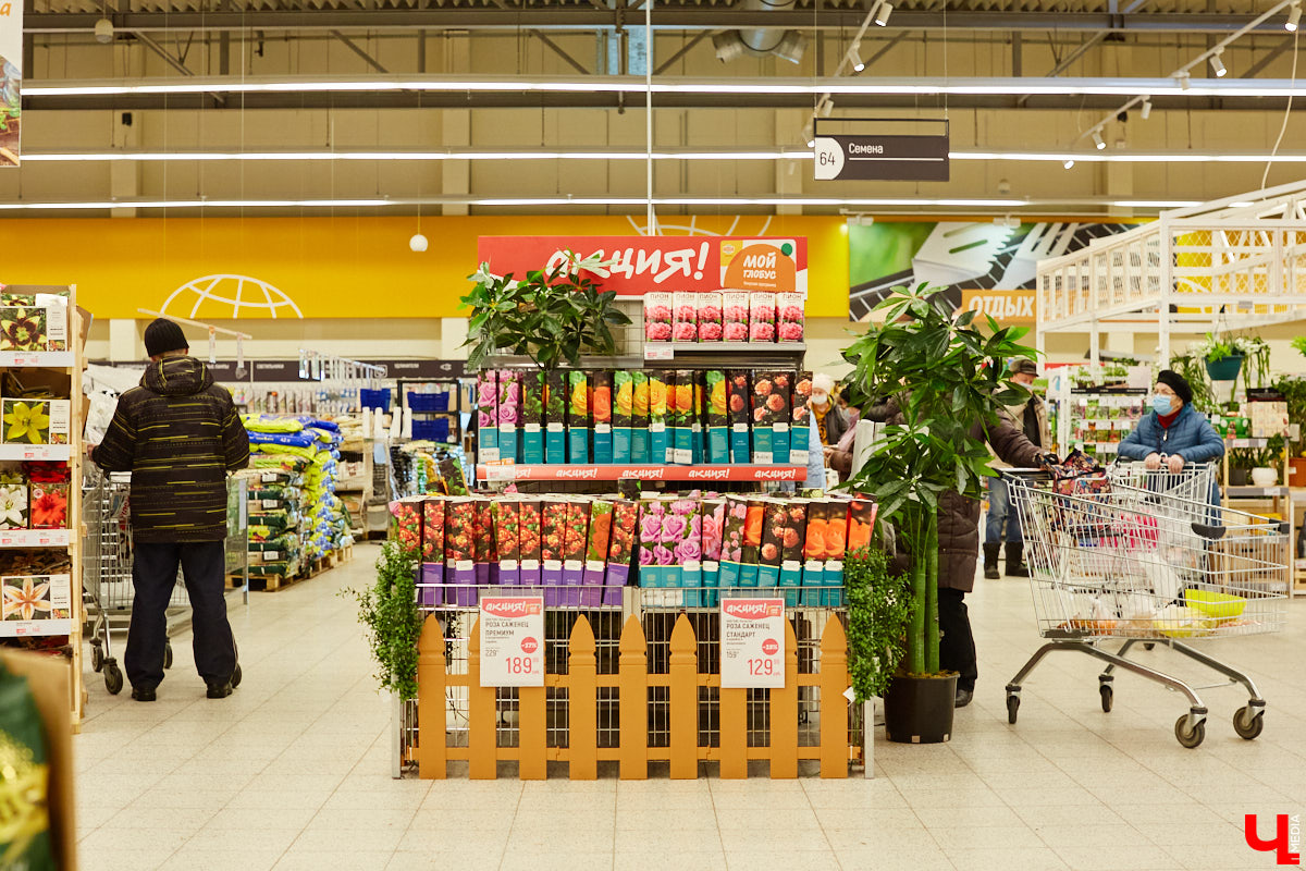 Ни одного, ни разу в жизни! Ольга Проноза – владимирский блогер, который входит в топ-10 самых популярных, в своем деле настоящий умелец, а вот кое в чем другом до недавних пор была чуточку профаном. Блины она в своей жизни ни разу не готовила, но наш кулинарный сенсей пришел ей на помощь. Вам, кстати, учения его тоже пригодятся, ведь рецепты мастера – нестандартные.