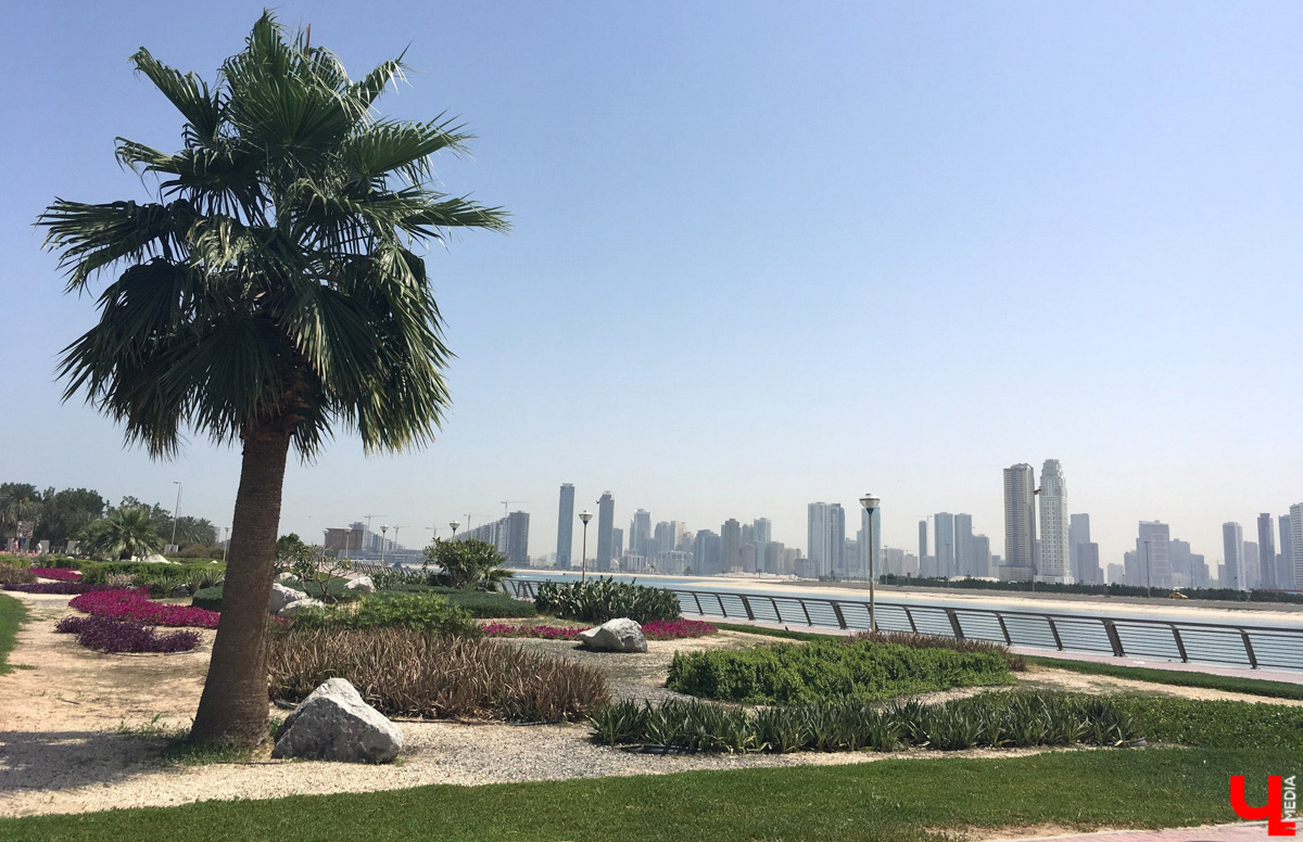 Ростуризм рекомендует выбирать для отдыха только те страны, которые не ввели против России ограничений. Бронировать путешествие можно по самым популярным направлениям пляжного отдыха. Но спрос на поездки, в том числе среди жителей Владимира, значительно упал.