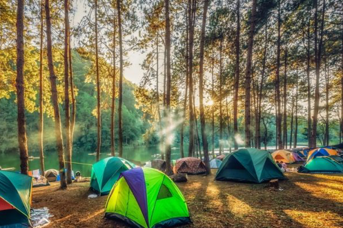 Специалисты говорят, что отдых с палатками в этом году будет особенно популярен. И тут важно правильно определиться с местом для кемпинга. Где можно разбивать бивуак и разводить костры, определила специальная комиссия. А местные путешественники со стажем дали несколько дельных советов.