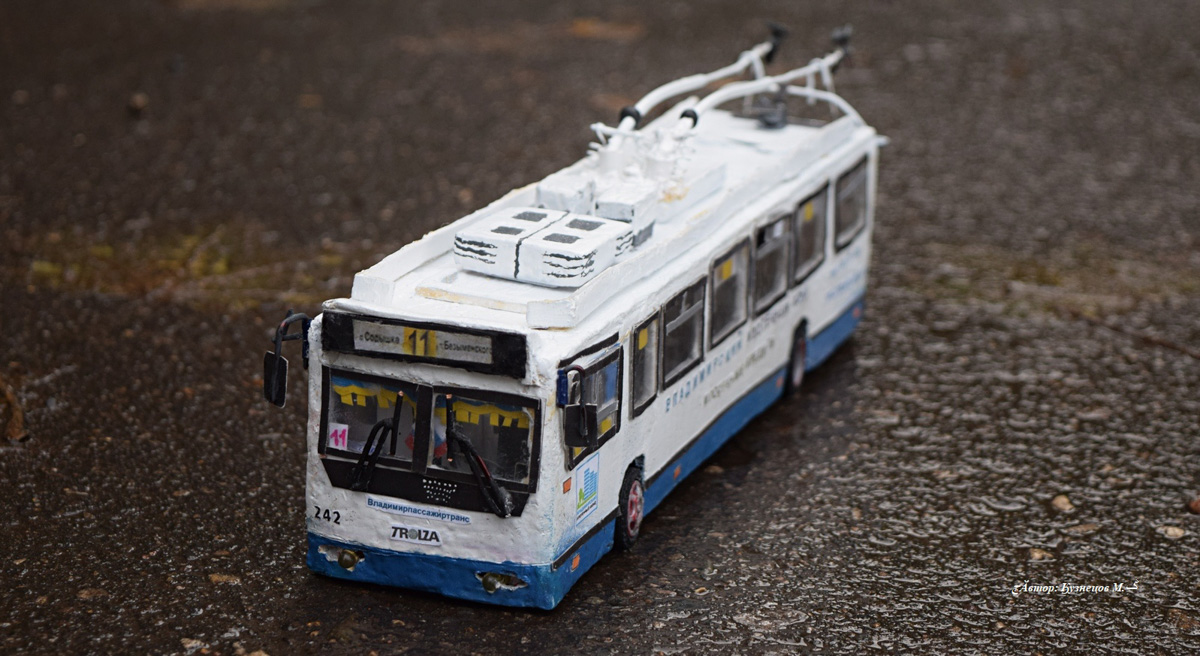 Михаил Кузнецов делает мини-копии владимирских троллейбусов. Молодой человек собирает модели в масштабе 1:43. В его коллекции уже три рогатых транспорта. И это только начало. В перспективе Михаил хочет создать модели всех имеющихся маршрутов. А когда получит права, мечтает стать водителем троллейбуса.