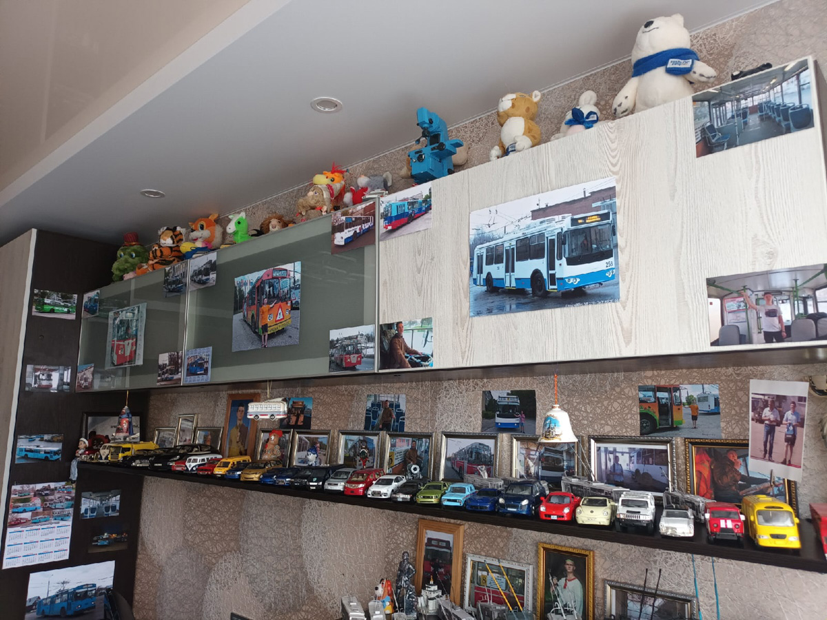 Михаил Кузнецов делает мини-копии владимирских троллейбусов. Молодой человек собирает модели в масштабе 1:43. В его коллекции уже три рогатых транспорта. И это только начало. В перспективе Михаил хочет создать модели всех имеющихся маршрутов. А когда получит права, мечтает стать водителем троллейбуса.