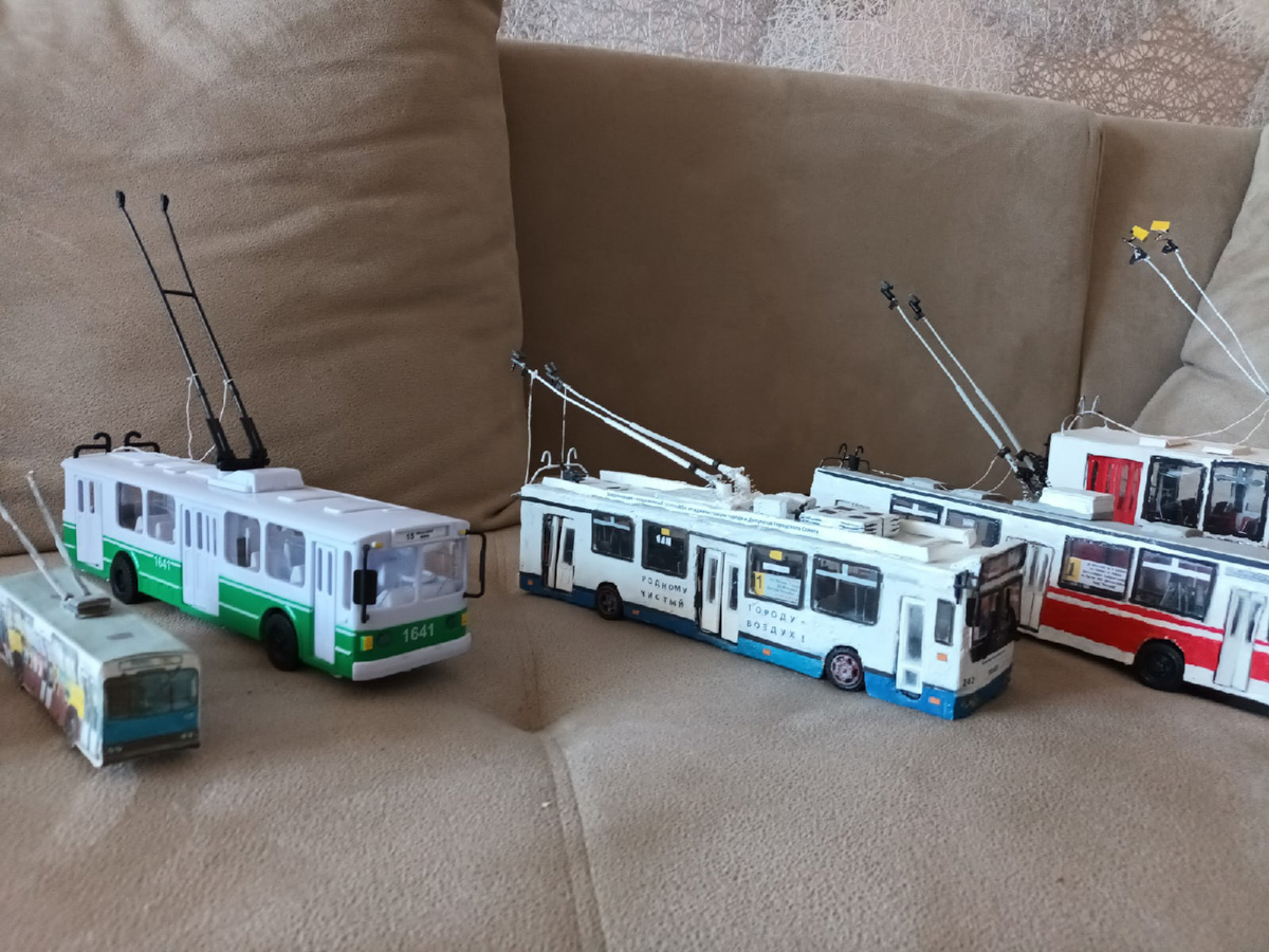 Михаил Кузнецов делает мини-копии владимирских троллейбусов. Молодой человек собирает модели в масштабе 1:43. В его коллекции уже три рогатых транспорта. И это только начало. В перспективе Михаил хочет создать модели всех имеющихся маршрутов. А когда получит права, мечтает стать водителем троллейбуса.