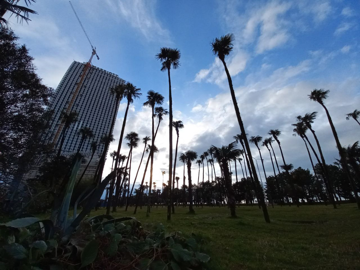 Чем подкупает русских Грузия? Наш коллега переехал с супругой в Батуми и поразился условиями местной жизни. Разумеется, заодно он сравнил их с владимирскими.