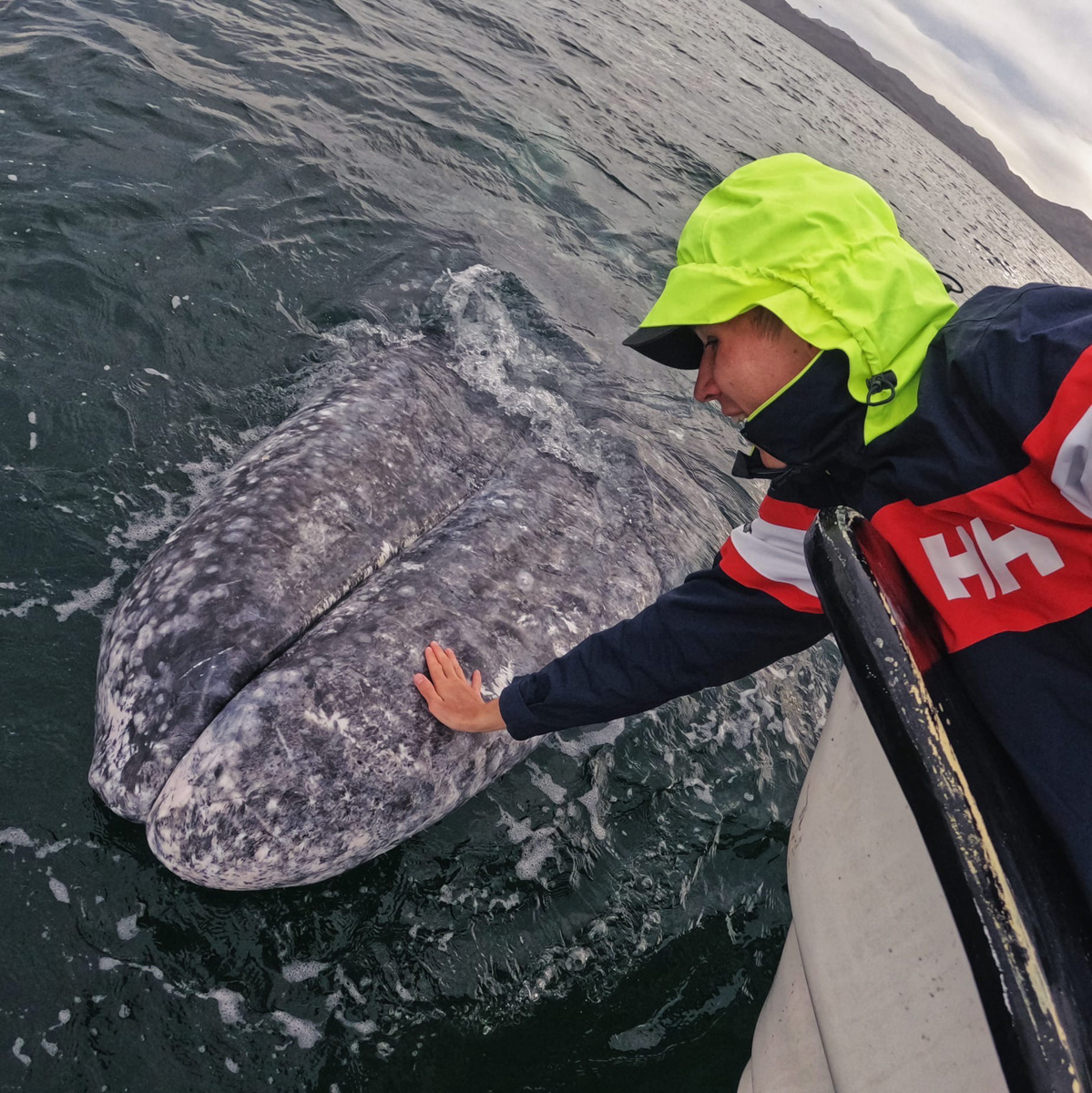 «Нам не повезло оказаться в одном из самых дорогих мест планеты с невкусной едой и ужасным обслуживанием». В компании возлюбленной бизнесмен из Владимира Валентин Пахомов застрял в Мексике почти на два долгих месяца. Теперь он делился лайфхаками, как перенести санкционные удары и вернуться домой.