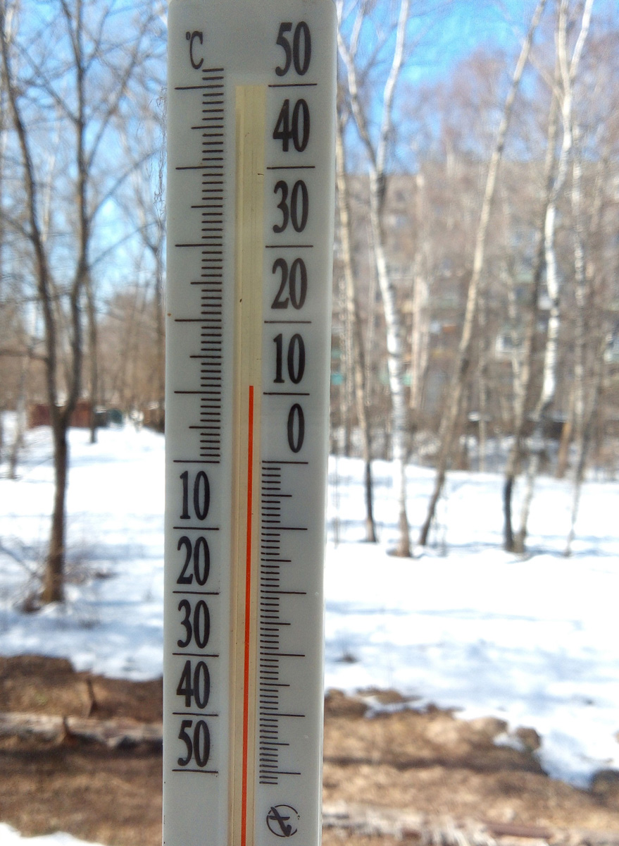 Аномально теплая погода в марте подарила жителям области возможность полюбоваться первыми цветами раньше срока. Жаль, что скоро яркие крокусы спрячутся под снегом…