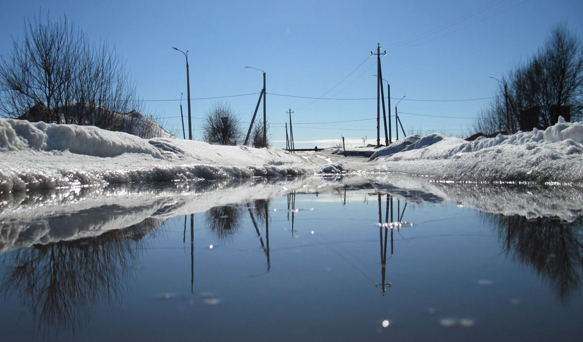 Аномально теплая погода в марте подарила жителям области возможность полюбоваться первыми цветами раньше срока. Жаль, что скоро яркие крокусы спрячутся под снегом…