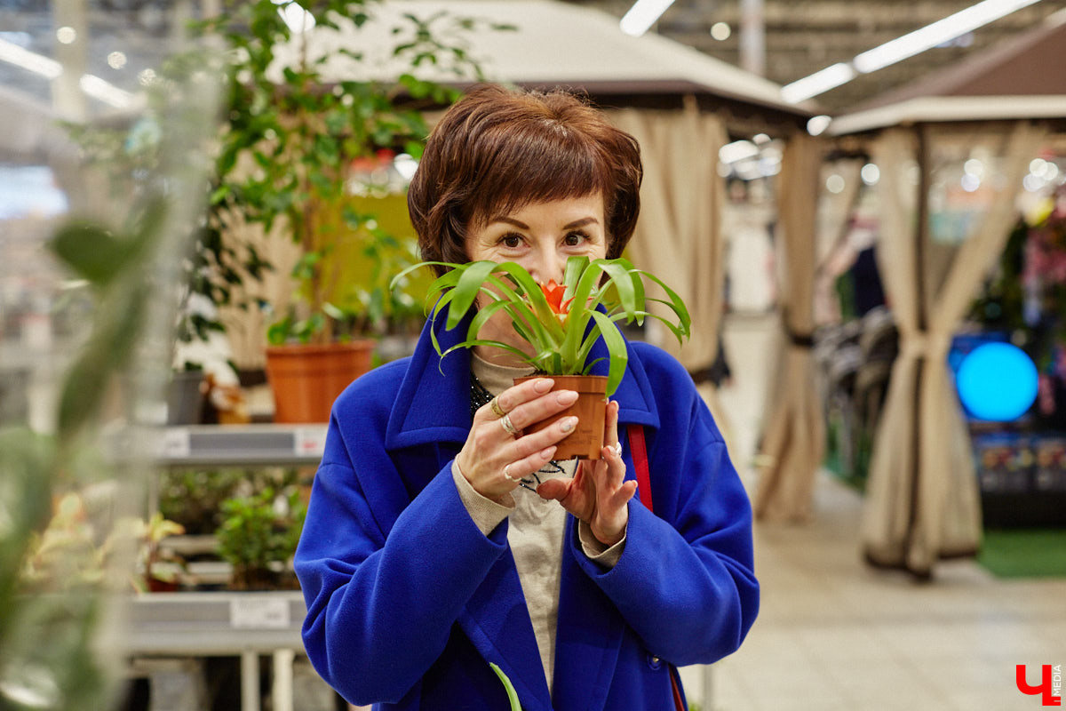 «…науки втянут нас в беду, возьмемтесь лучше за еду». Мы последовали этому совету Хармса вместе с инженером-строителем Ферузой Бакеевой и непревзойденным Дмитрием Орловским!