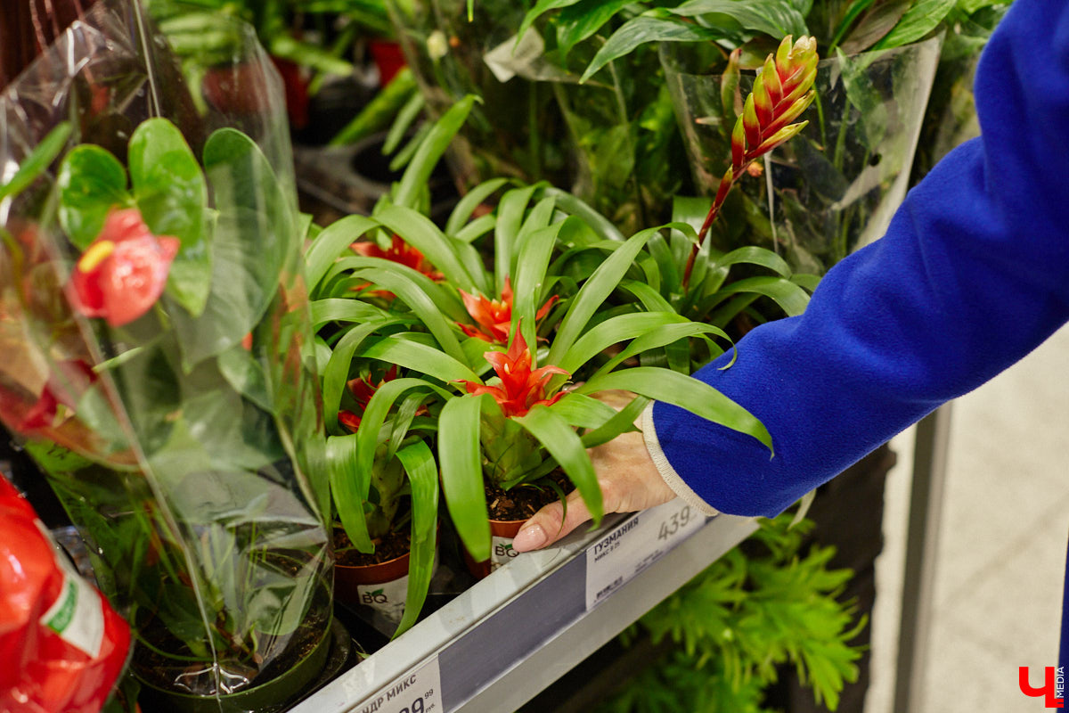 «…науки втянут нас в беду, возьмемтесь лучше за еду». Мы последовали этому совету Хармса вместе с инженером-строителем Ферузой Бакеевой и непревзойденным Дмитрием Орловским!