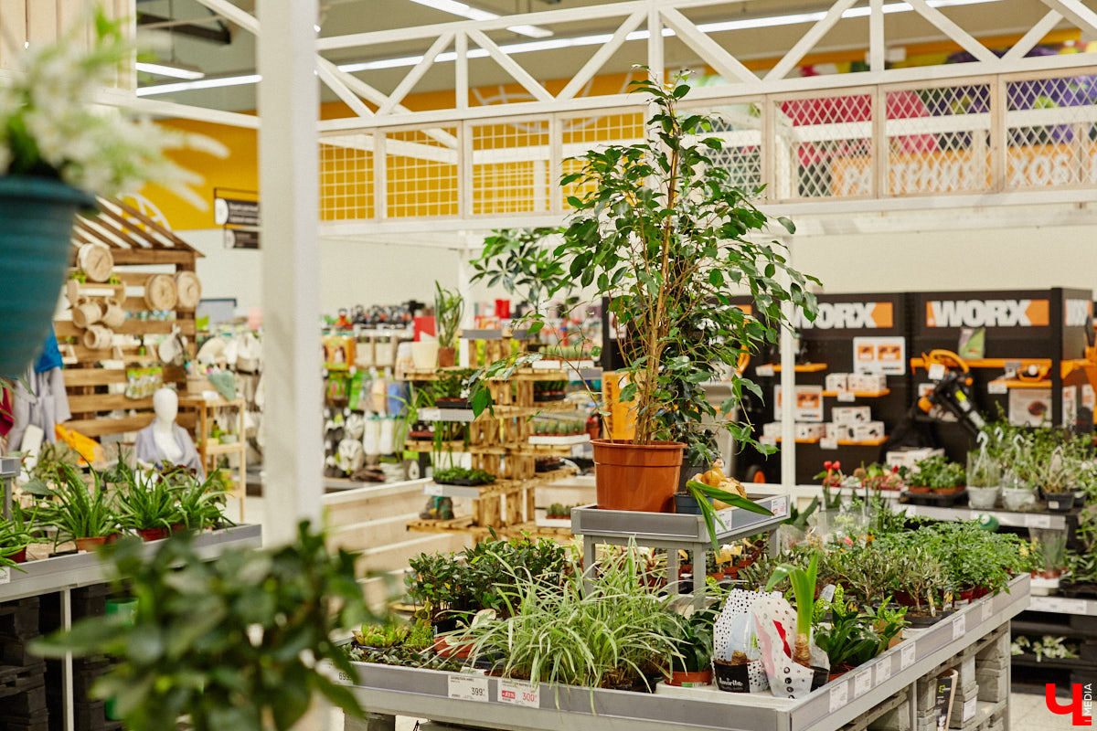 «…науки втянут нас в беду, возьмемтесь лучше за еду». Мы последовали этому совету Хармса вместе с инженером-строителем Ферузой Бакеевой и непревзойденным Дмитрием Орловским!