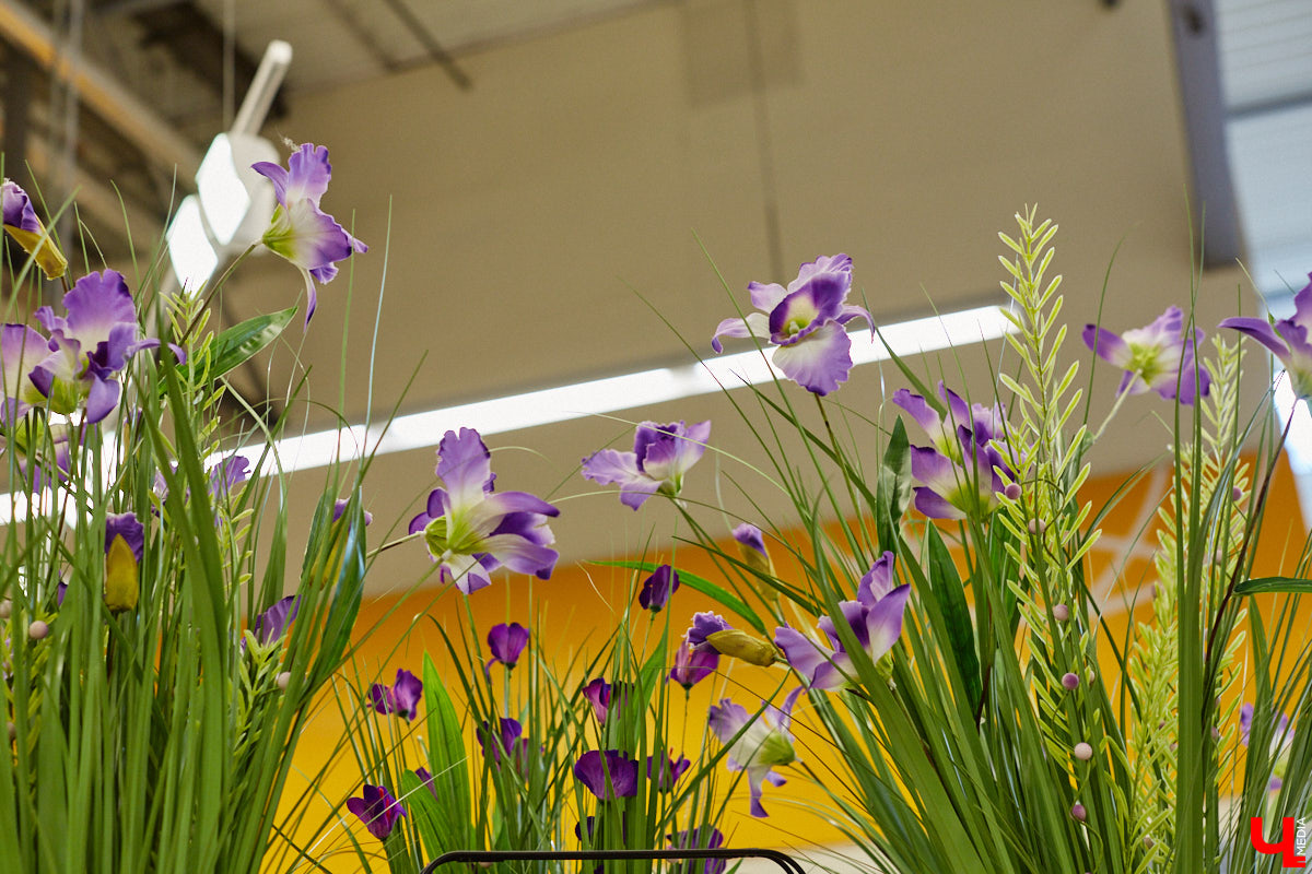 «…науки втянут нас в беду, возьмемтесь лучше за еду». Мы последовали этому совету Хармса вместе с инженером-строителем Ферузой Бакеевой и непревзойденным Дмитрием Орловским!