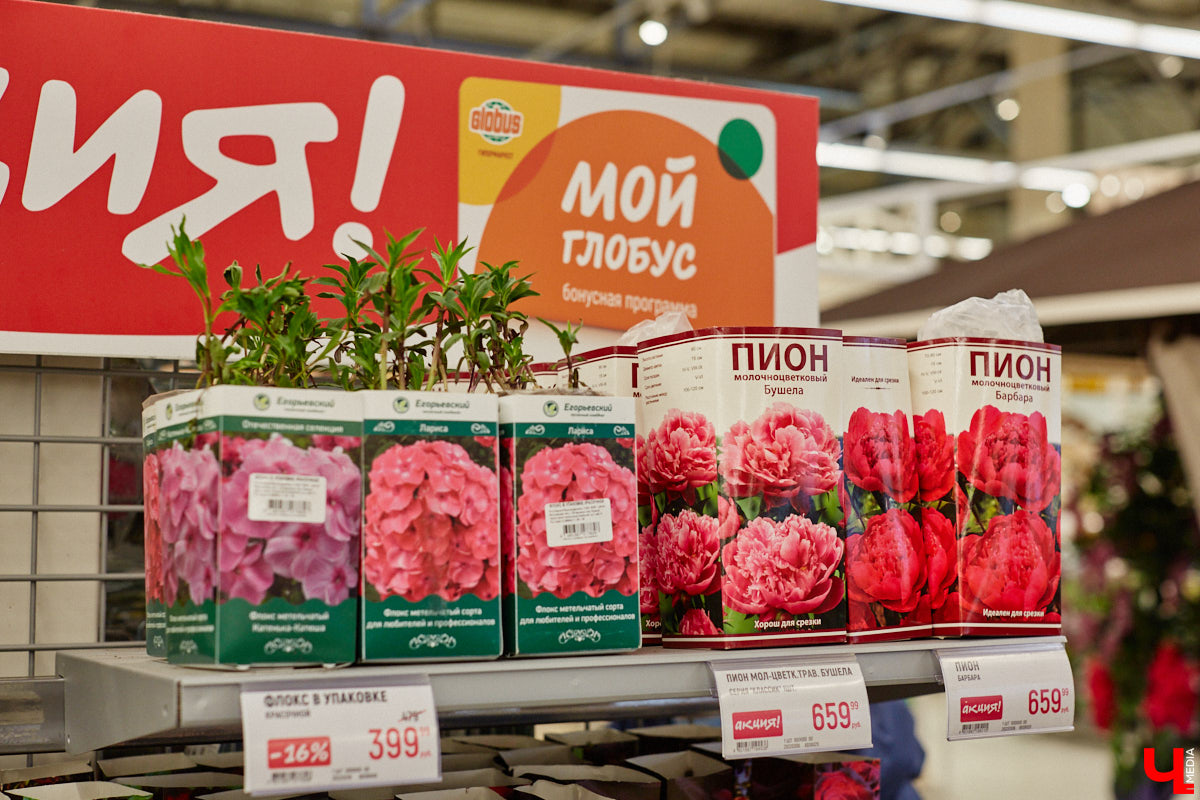 «…науки втянут нас в беду, возьмемтесь лучше за еду». Мы последовали этому совету Хармса вместе с инженером-строителем Ферузой Бакеевой и непревзойденным Дмитрием Орловским!