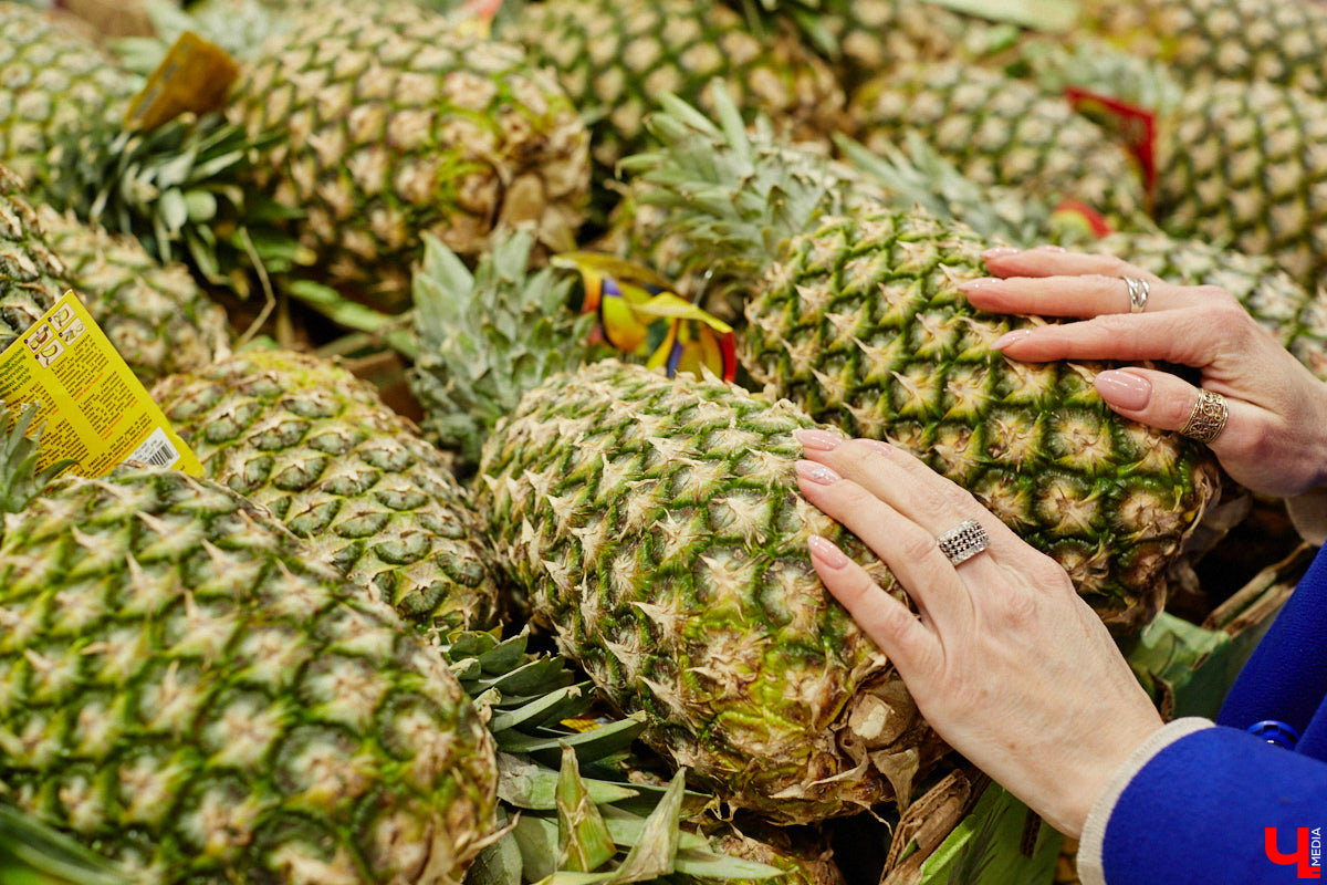 «…науки втянут нас в беду, возьмемтесь лучше за еду». Мы последовали этому совету Хармса вместе с инженером-строителем Ферузой Бакеевой и непревзойденным Дмитрием Орловским!