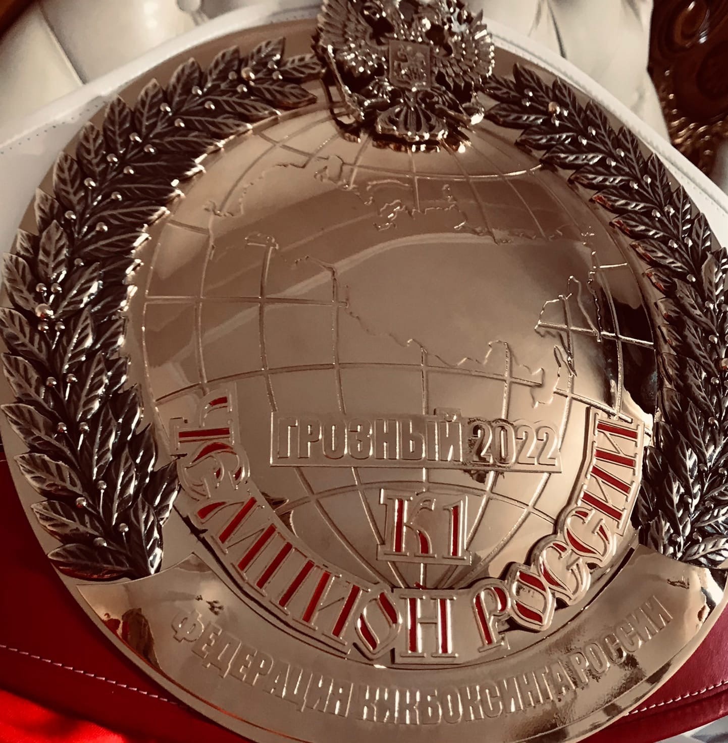 Профессиональная модель из Владимира умеет не только убивать взглядом, от ее ударов в буквальном смысле слова не устоять. На днях Елена Охапкина выиграла золотую медаль чемпионата России по кикбоксингу в Грозном. А ведь в спортзал она пришла случайно. История чемпионки в материале «Ключ-Медиа»!