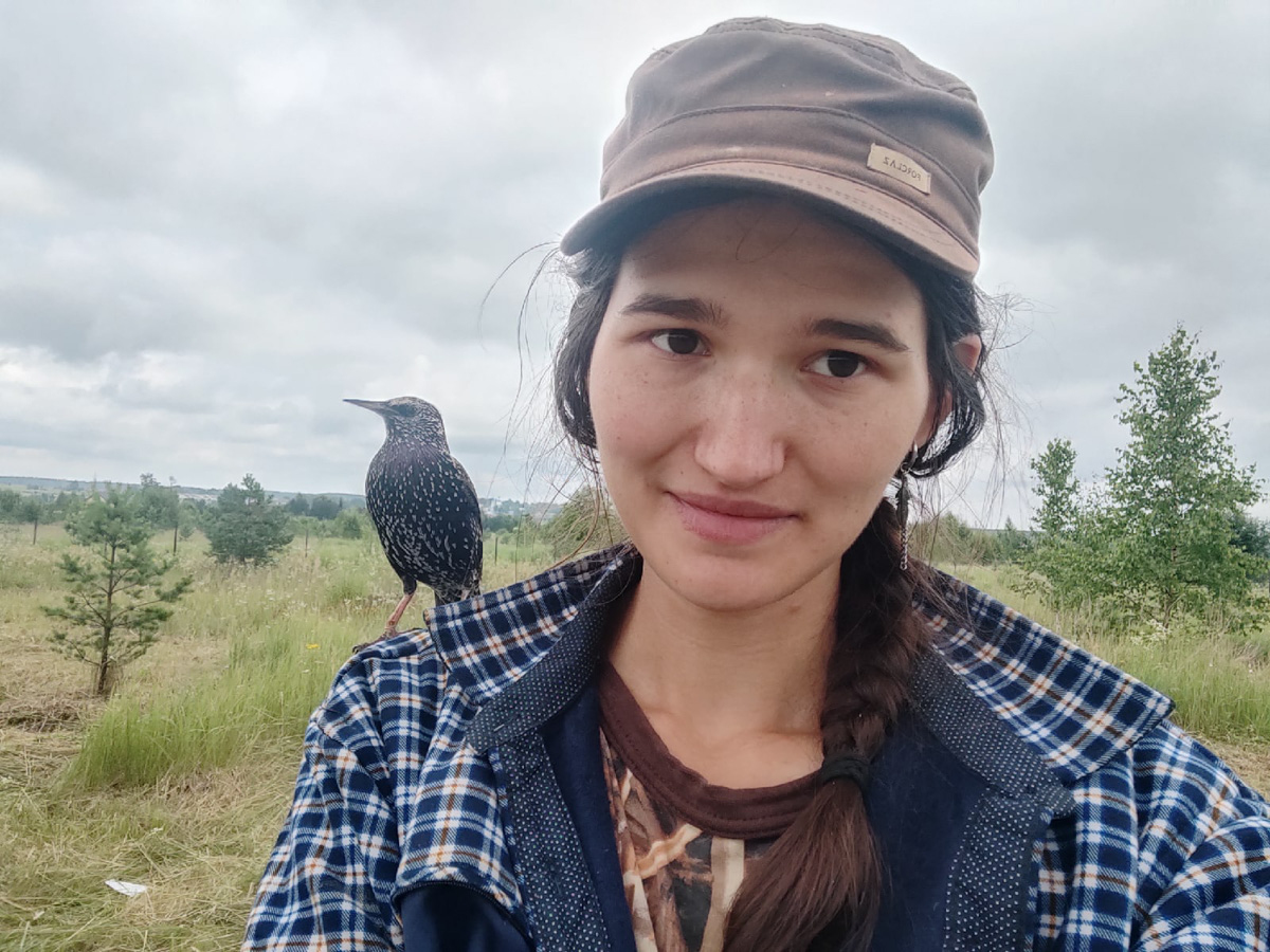 Крылатые пташки Владимирской области под надежной защитой. Вот уже год под Киржачом работает Центр помощи диким птицам «Воронье гнездо». Открыла его волонтер, а ныне директор благотворительного фонда Вера Пахомова. Она же рассказала нам, с чего все началось, какие пернатые попадают в центр и какую помощь им можем оказать даже мы с вами.