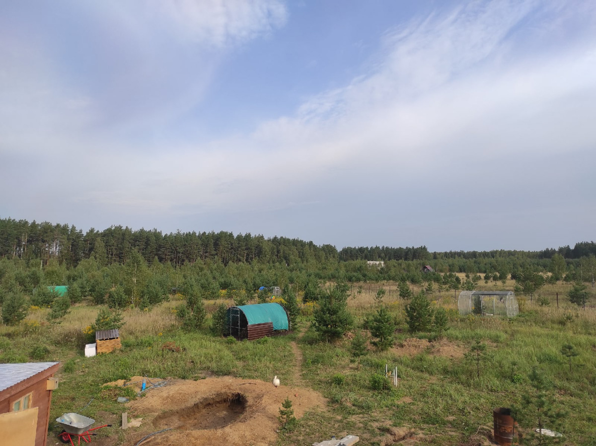 Крылатые пташки Владимирской области под надежной защитой. Вот уже год под Киржачом работает Центр помощи диким птицам «Воронье гнездо». Открыла его волонтер, а ныне директор благотворительного фонда Вера Пахомова. Она же рассказала нам, с чего все началось, какие пернатые попадают в центр и какую помощь им можем оказать даже мы с вами.