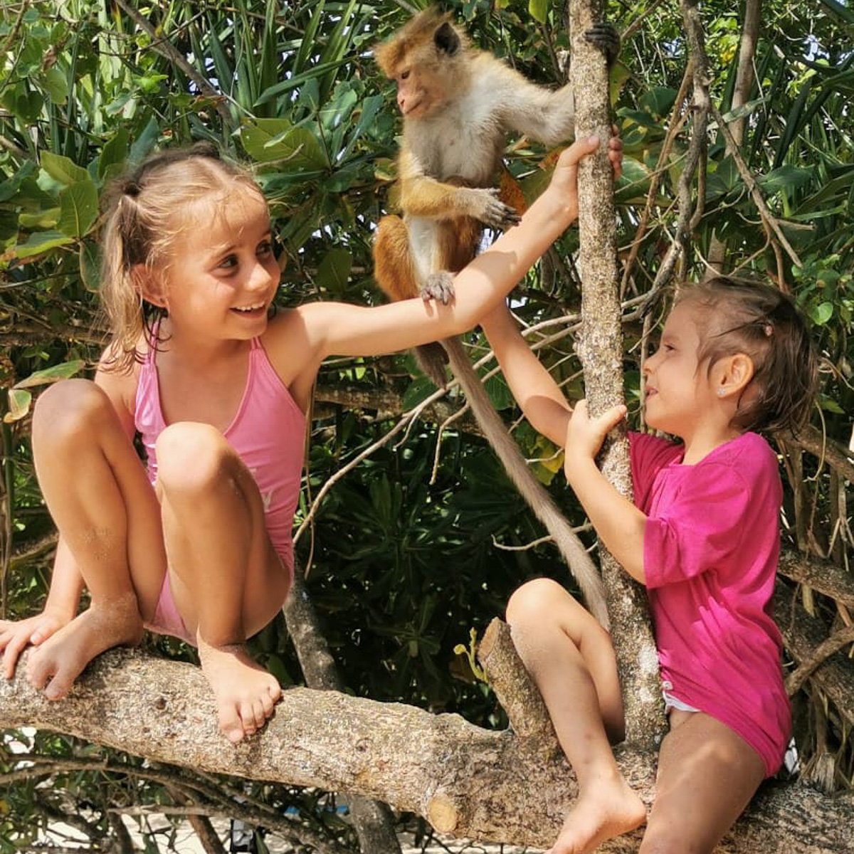 На финиш престижного забега в турецкой Аланье марафонец из Владимира Артем Куфтырев пришел первым. Но не один, а вместе со своими детьми. Нога в ногу пересекли финишную черту, втроем поднялись на пьедестал. И этот случай не единичный. Семья сопровождает Артема на всех соревнованиях и даже сборах. Вместе путешествуют по миру.