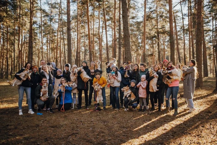 По техническим причинам (у маленьких собачек мерзнет пузико) коргитусы прервались до потепления, и вот организатор Татьяна Ванькина готова анонсировать два новых, необычных для города догфрендли-события. Вне зависимости от породы пушистые друзья вместе с хозяевами приглашаются на отдых в глэмпинге и догсвоп-пати!