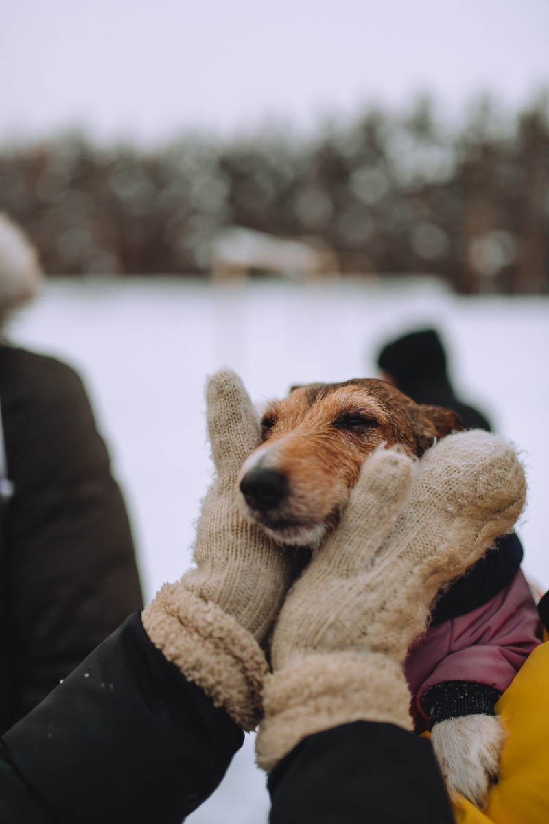 По техническим причинам (у маленьких собачек мерзнет пузико) коргитусы прервались до потепления, и вот организатор Татьяна Ванькина готова анонсировать два новых, необычных для города догфрендли-события. Вне зависимости от породы пушистые друзья вместе с хозяевами приглашаются на отдых в глэмпинге и догсвоп-пати!