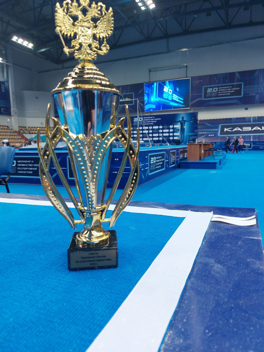 В начале апреля владимирские спортсмены активно радуют нас золотыми наградами. За одну неделю сразу несколько кубков и медалей! Что важно — самого высшего достоинства. «Ключ-Медиа» собрал воедино все эти важные успехи. Читаем обзор и гордимся нашими ребятами.