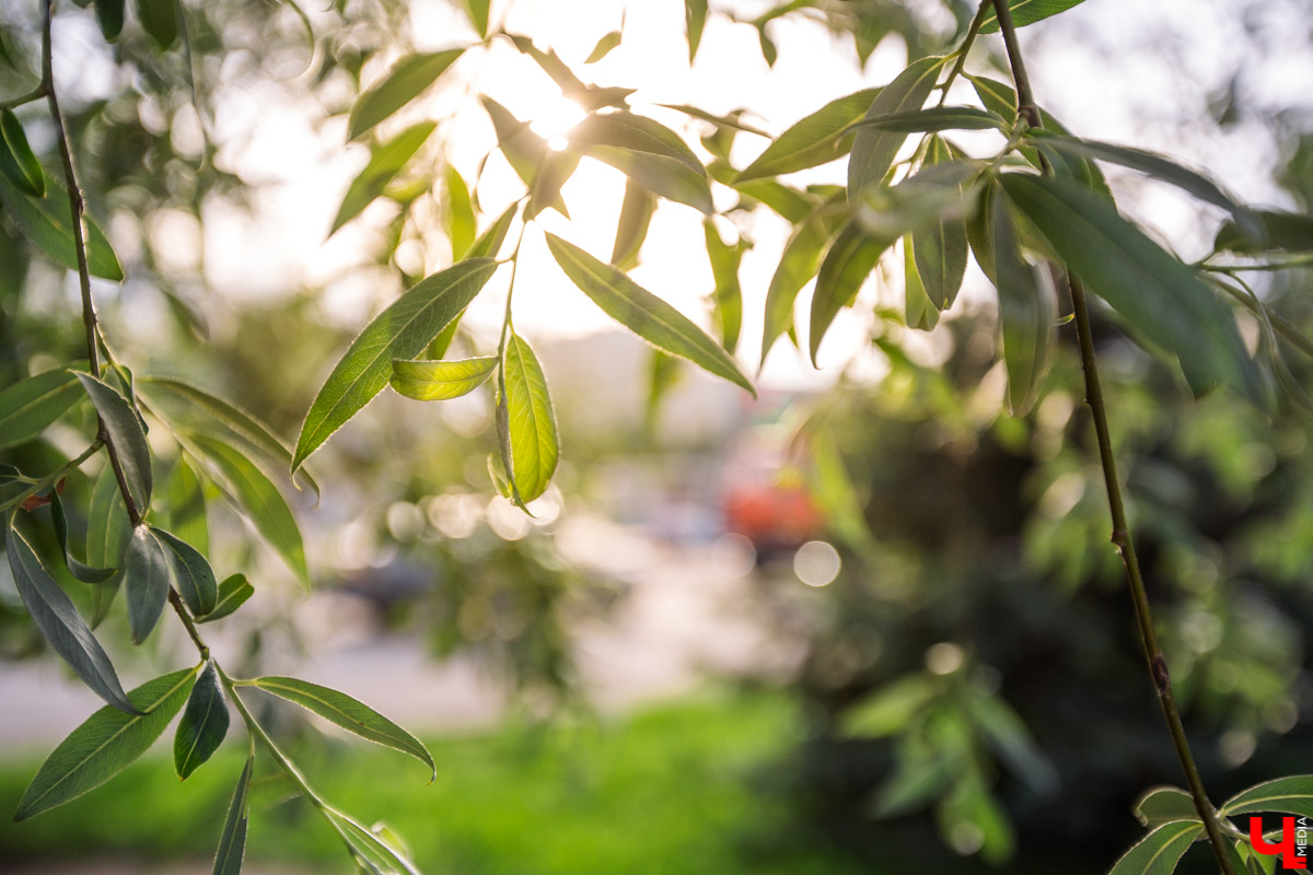 Дефицит многих привычных вещей, наступивший в когда-то благополучном мире потребления, неожиданно изменил многие наши привычки. Некоторые нашли в этом плюсы и перешли на более экологичный образ жизни. О разумном потреблении, модных авоськах, отказе от бумаги, пластиковой посуды и переходе на экокосметику читайте в нашем материале.